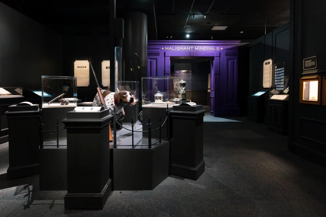 IMG_6138-Enhanced-NR Large.jpeg