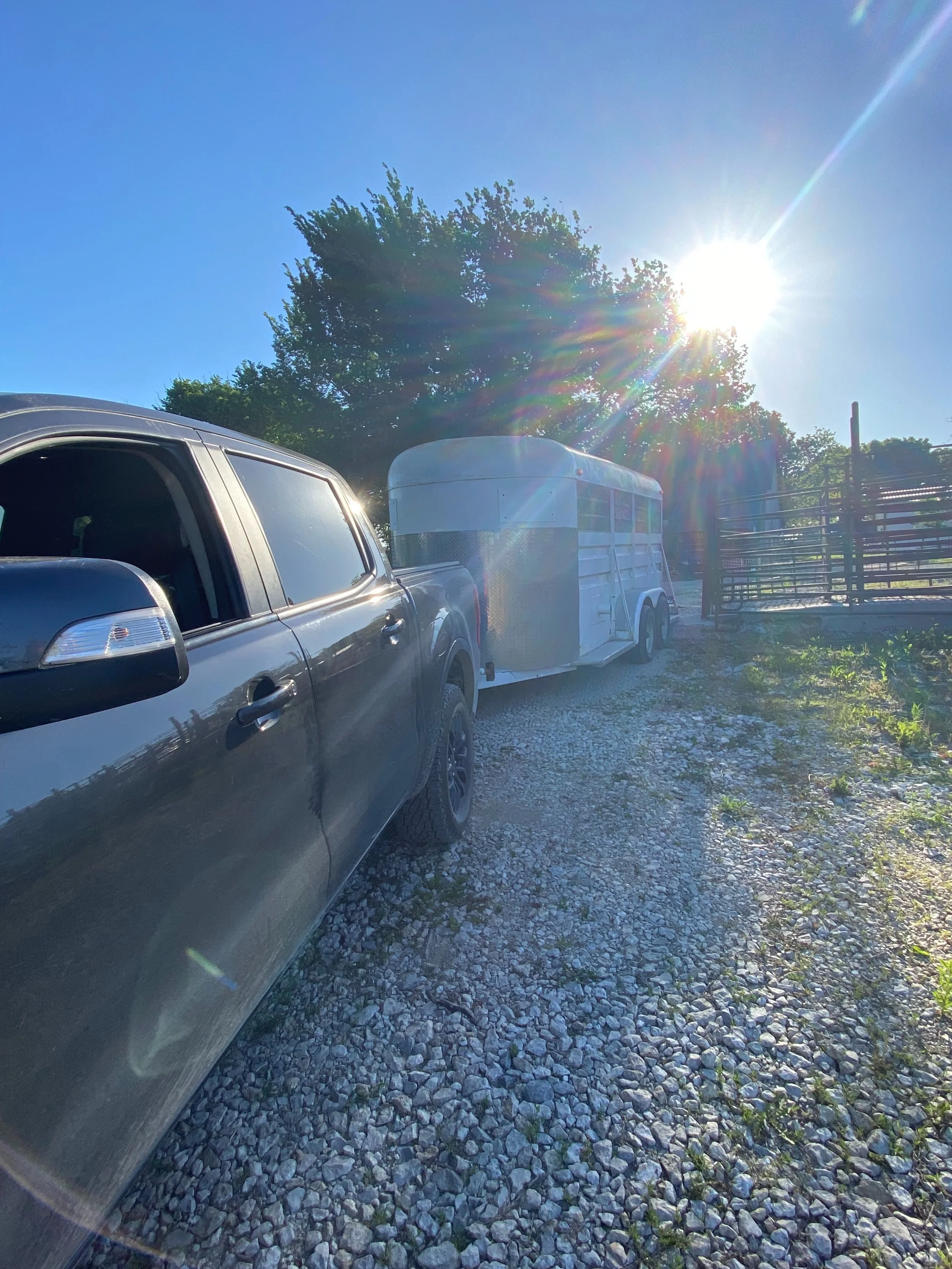 Dropping another load of pigs off to be processed. This is a huge feeling of accomplishment. This meat will feed my family AND our community. Thankful for my blessing in this life!