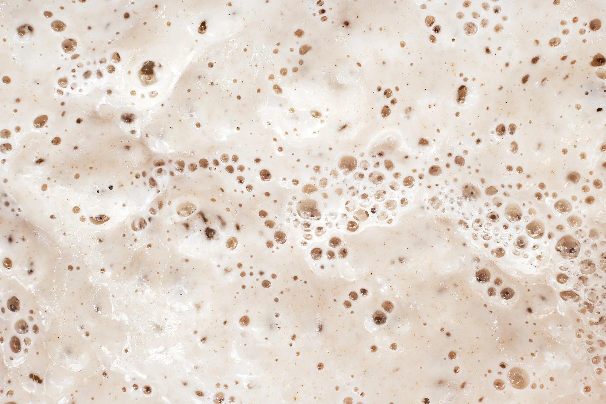 SQAA-sourdough-3.jpg
