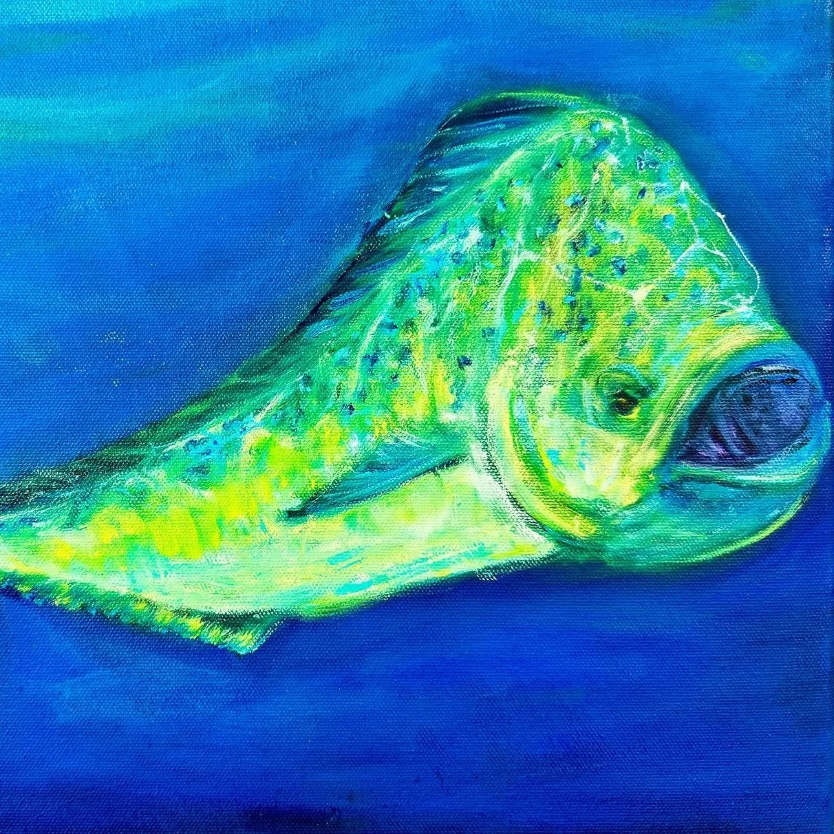 Mahi light study - Oil on Canvas