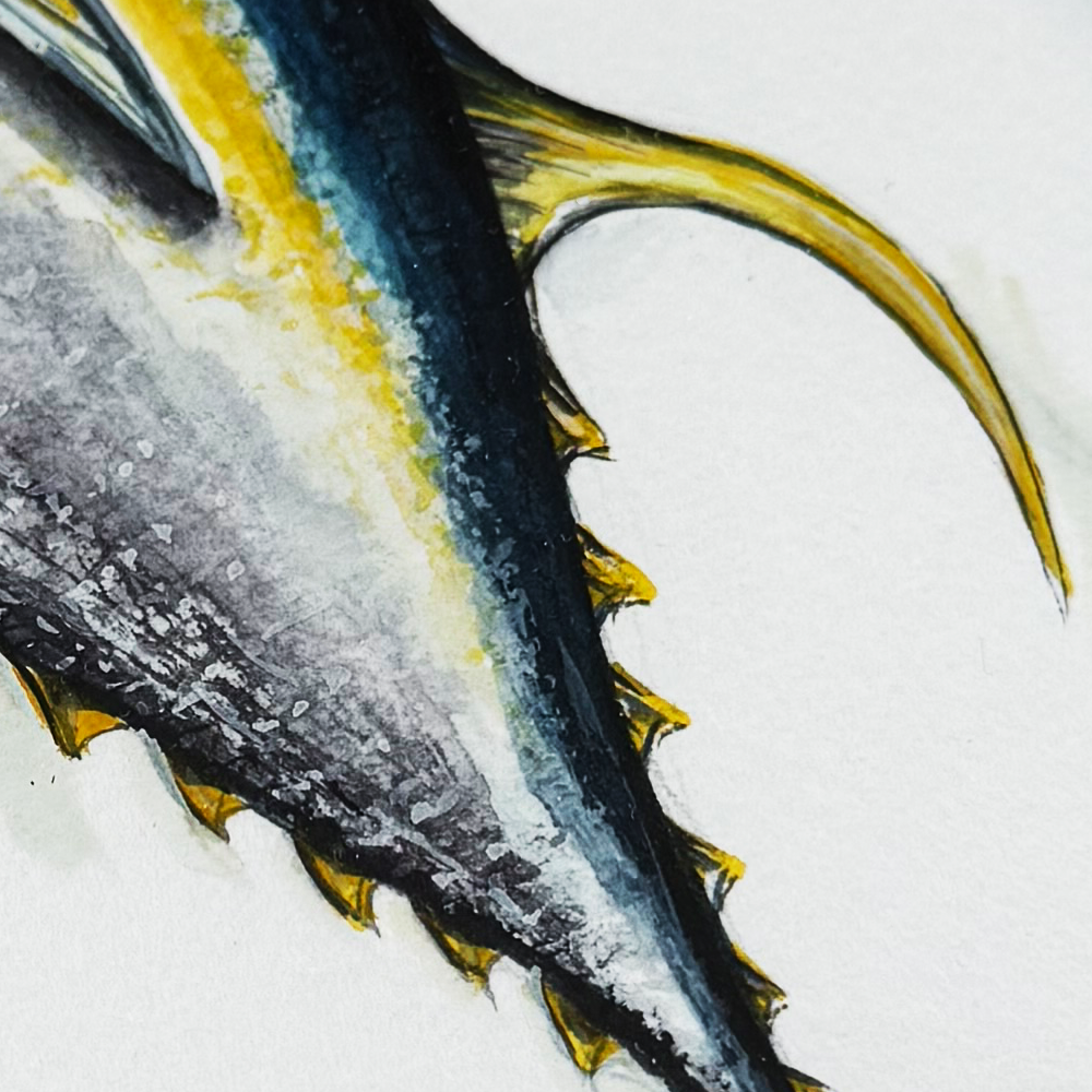 Yellowfin Framed Detail.png