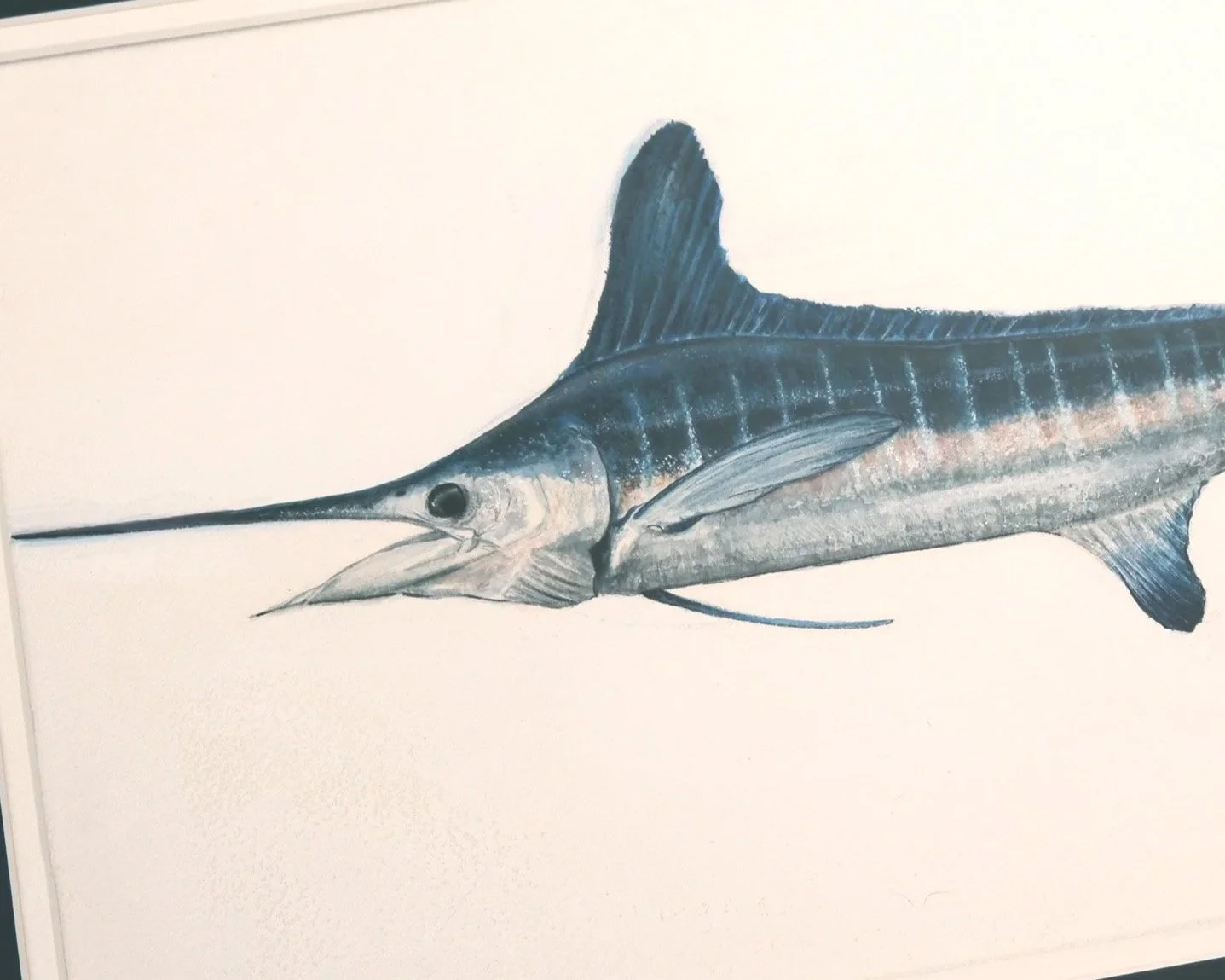 white-marlin-watercolor-original-framed-angle-detail-WEB copy.jpg