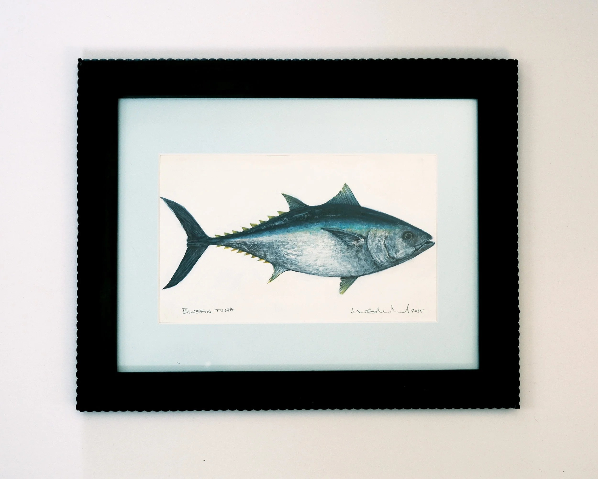Bluefin Tuna - Original Watercolor Study No.4