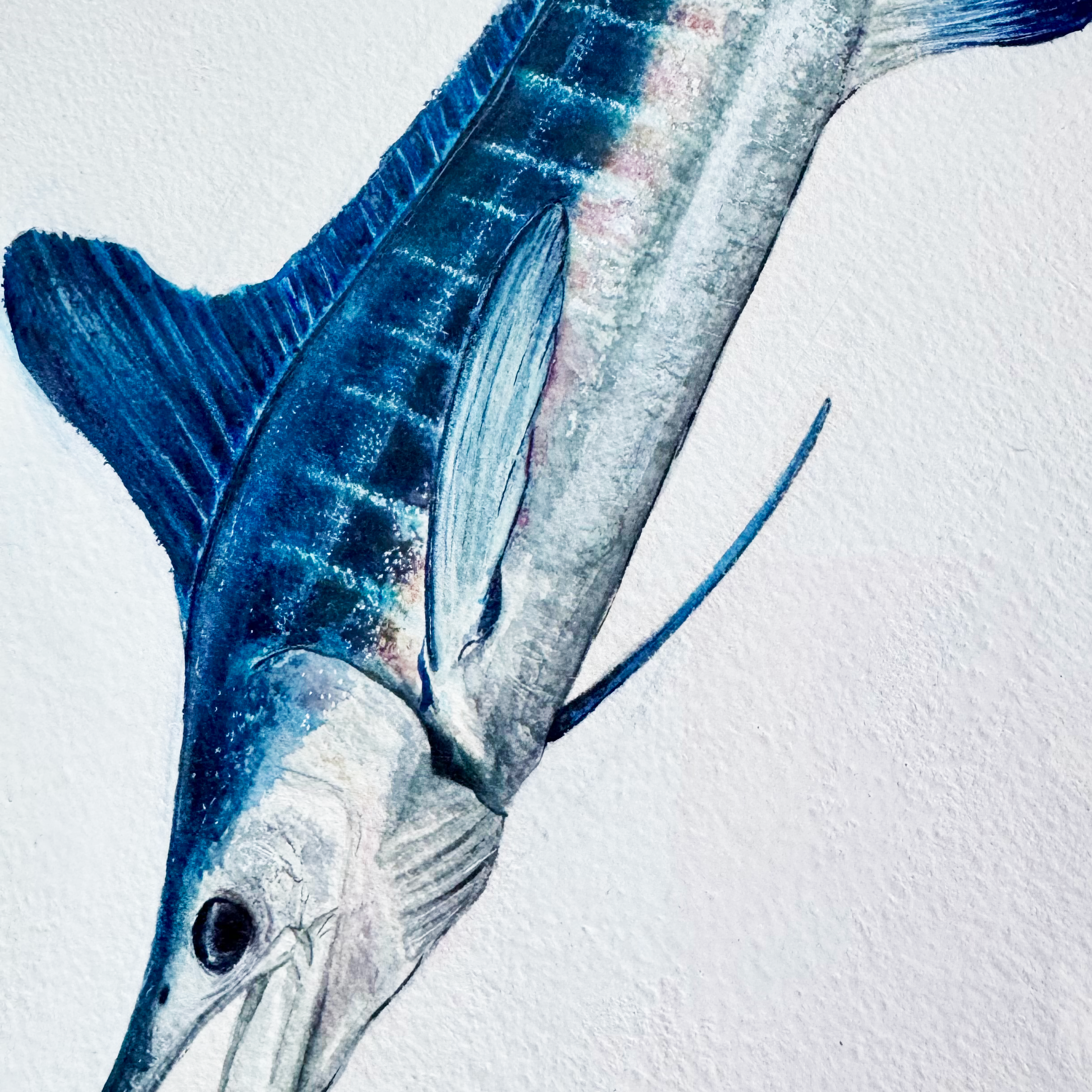 White Marlin OG Framed Detail.png