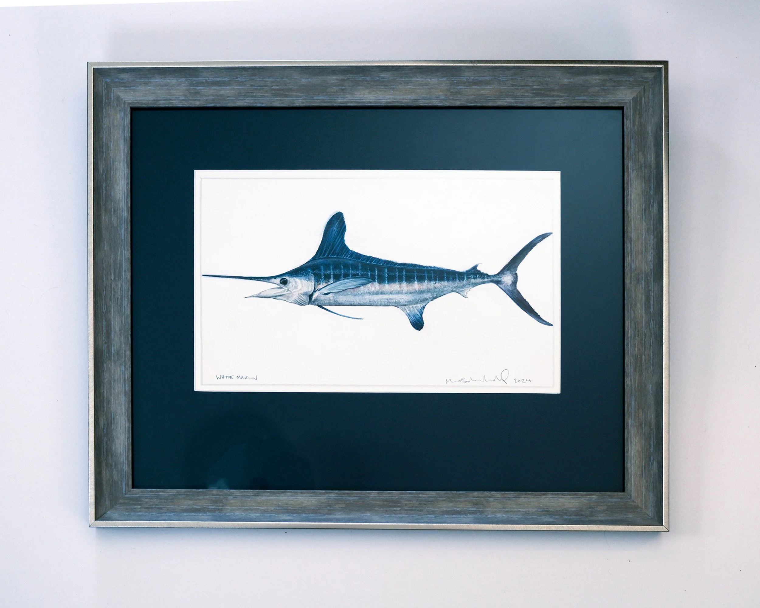 White Marlin - Original Watercolor