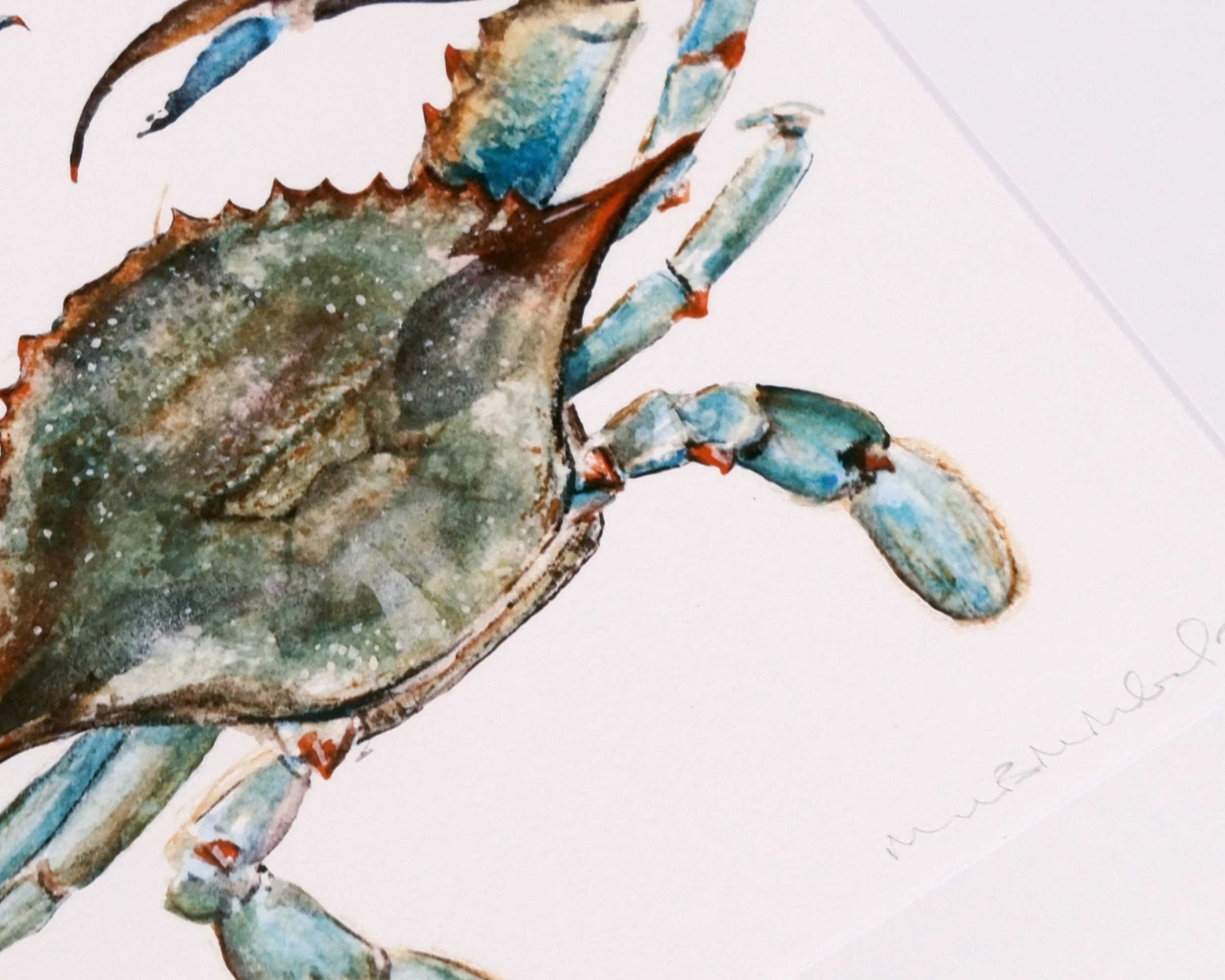 md-blue-crab-giclee-matted-print-detail-WEB.jpg