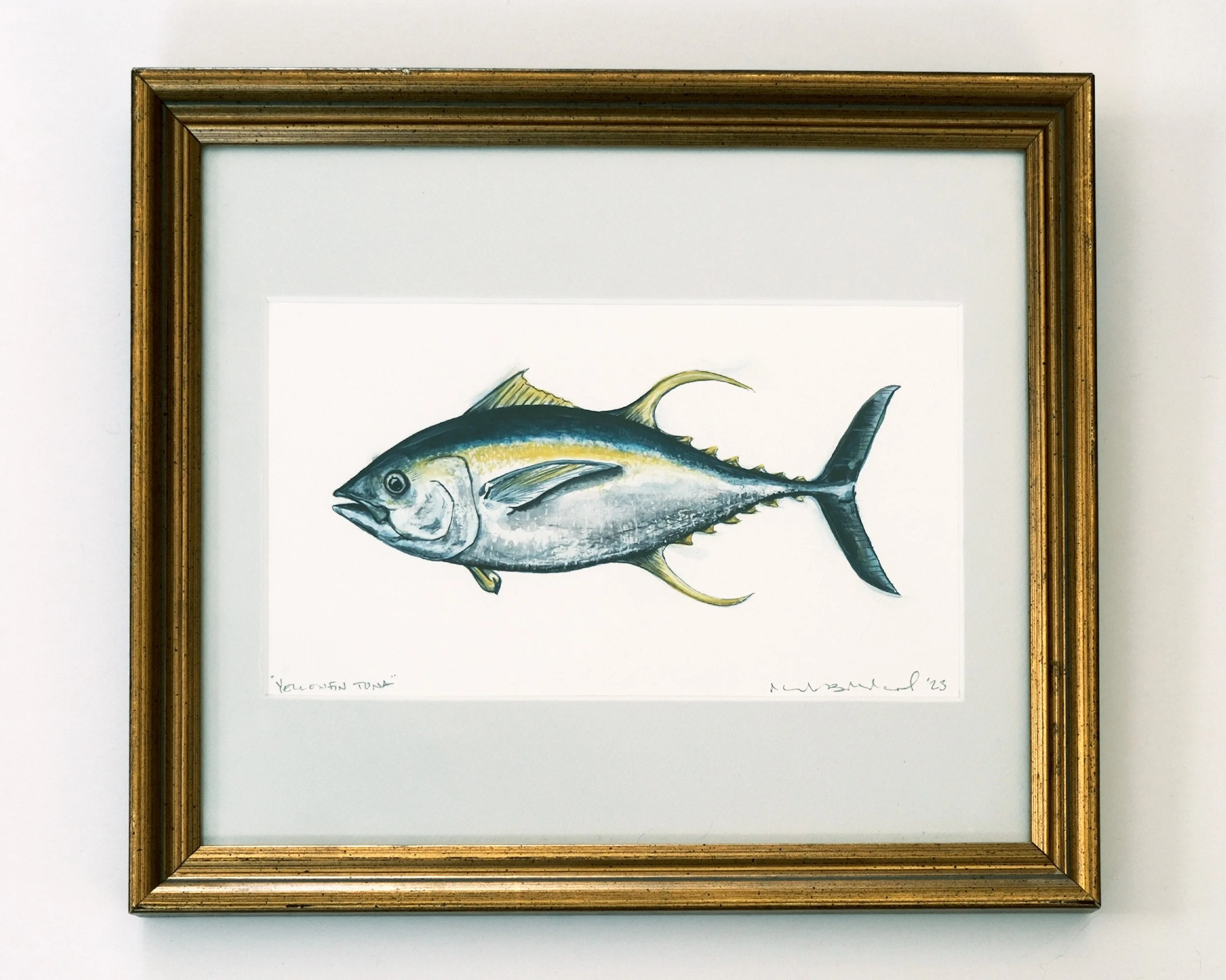 Yellowfin Tuna - Original Watercolor Study