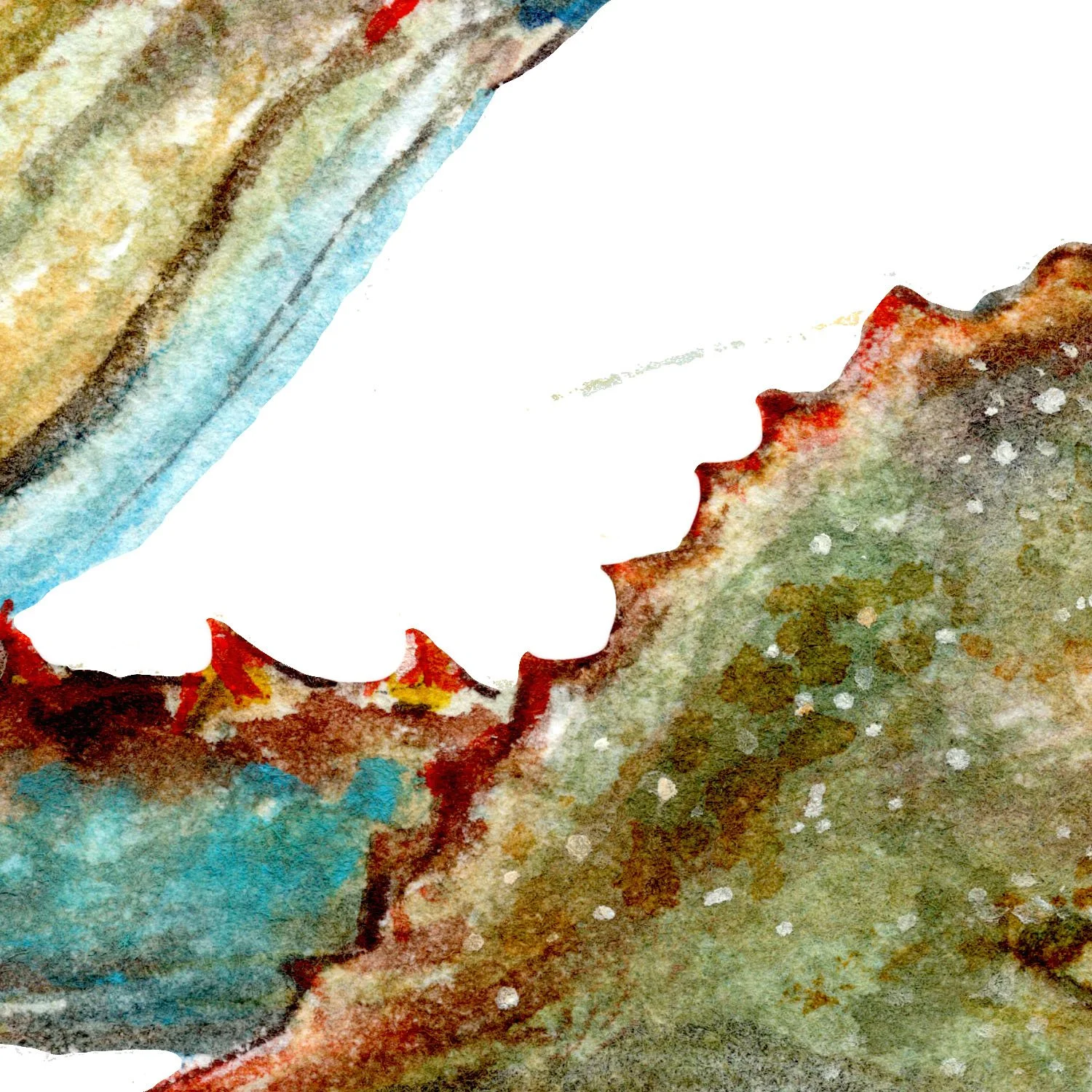 close up detail of crab watercolor