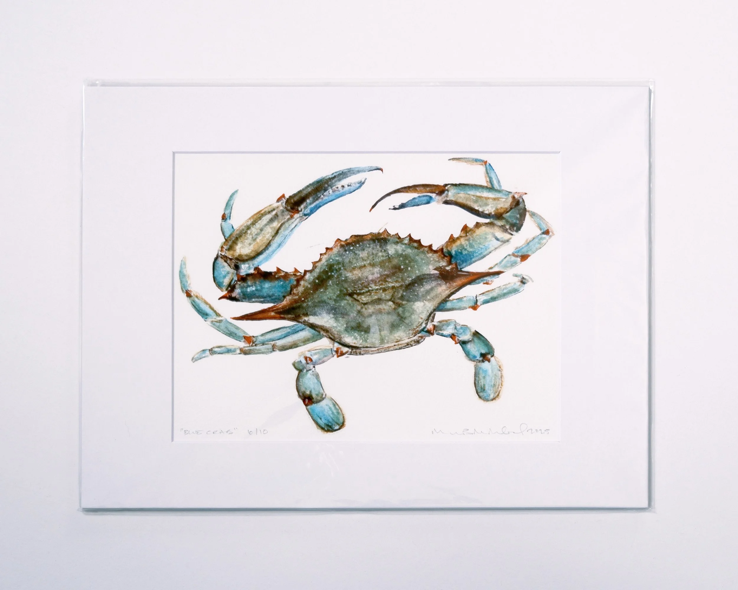 Chesapeake Blue Crab Watercolor Study | Limited edition matted giclée print