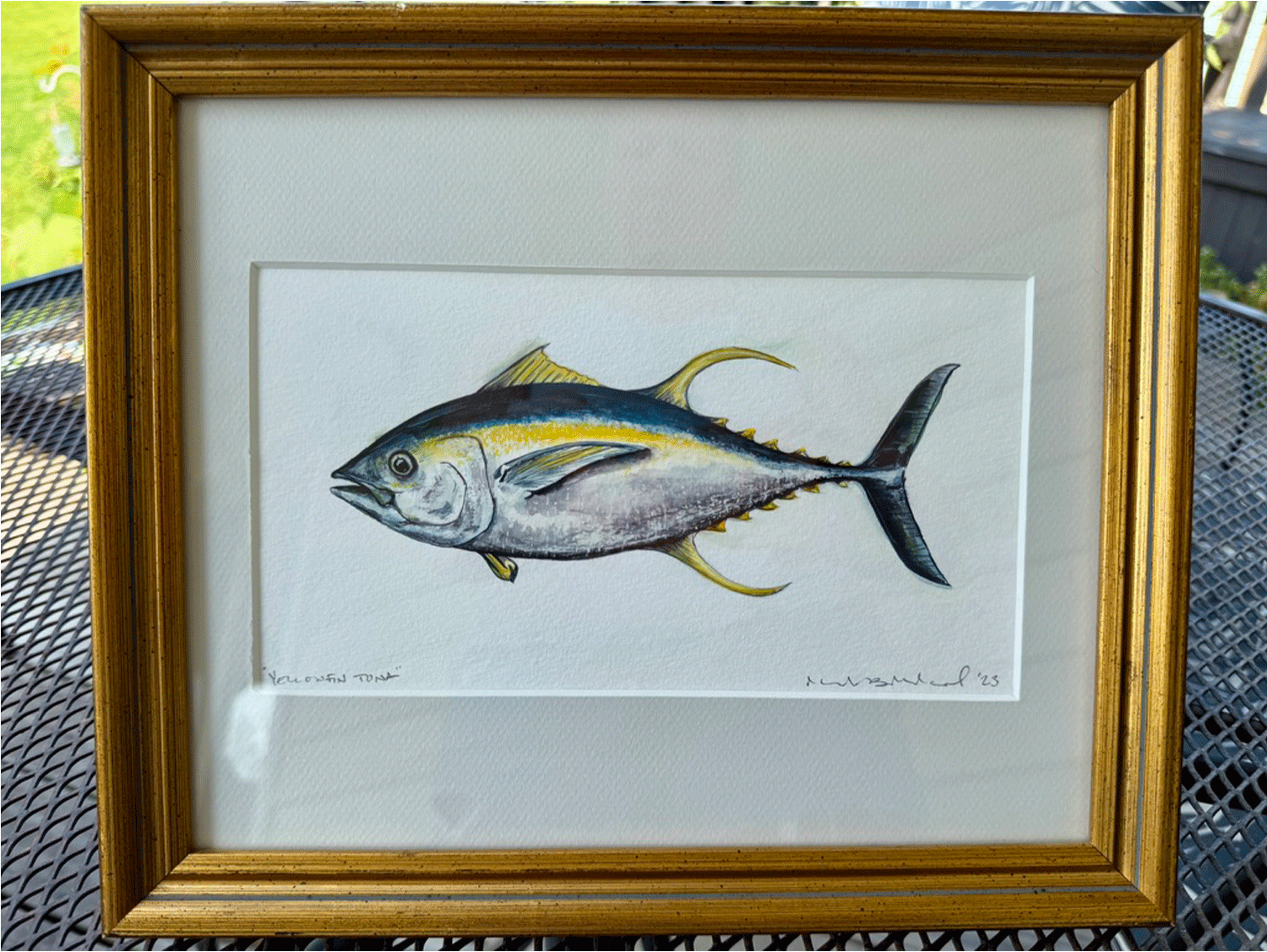 Yellowfin-tuna-original-full-thumbnail.gif