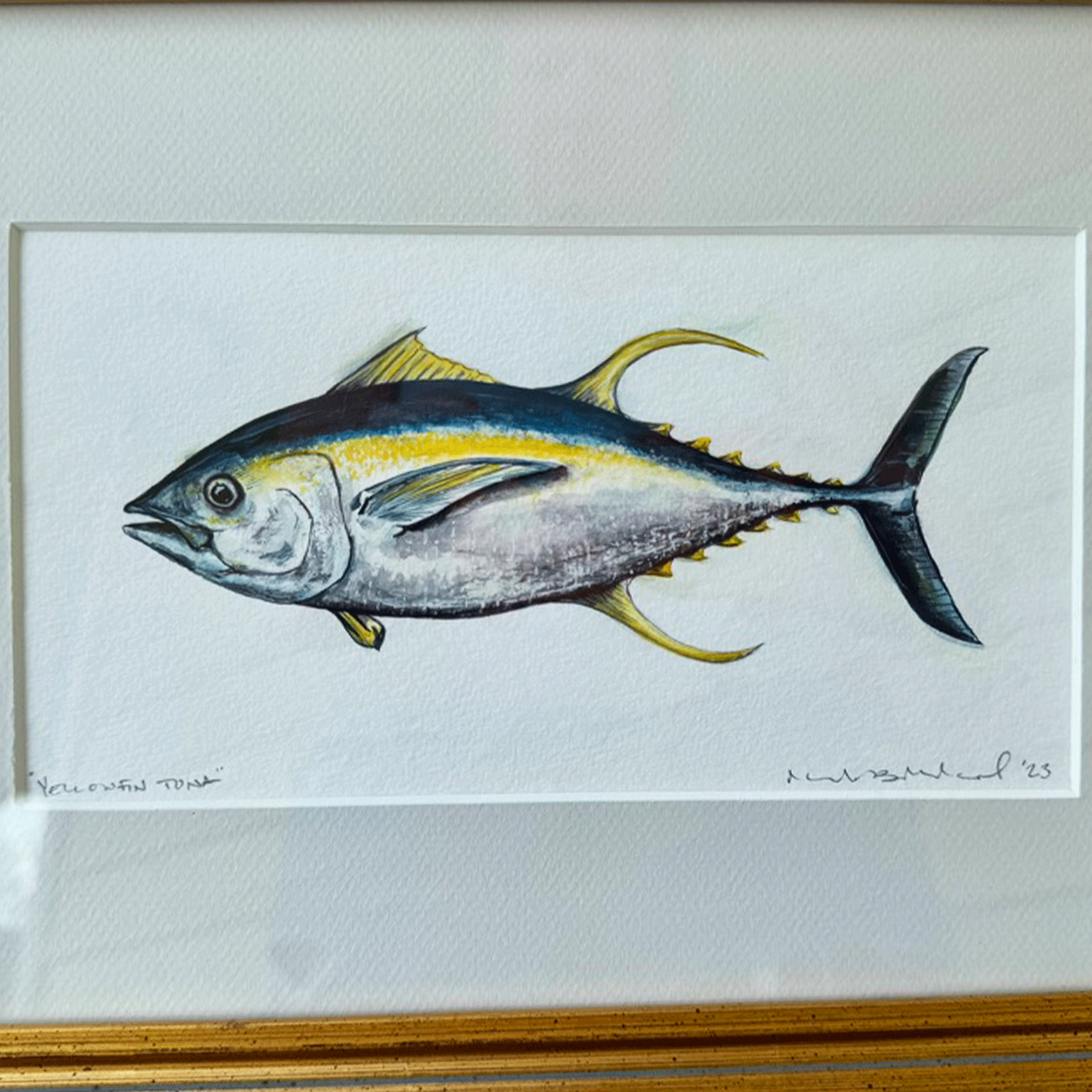 Yellowfin-tuna-original-thumbnail.gif