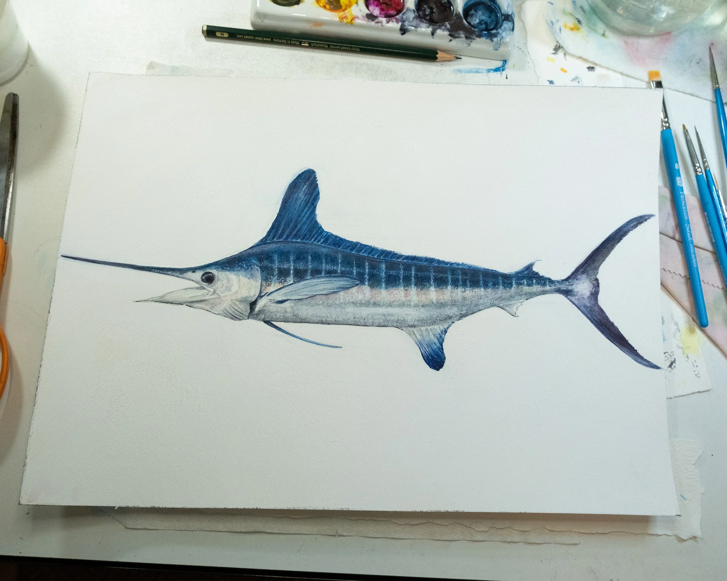 white-marlin-original-studio-shot-WEB.jpg