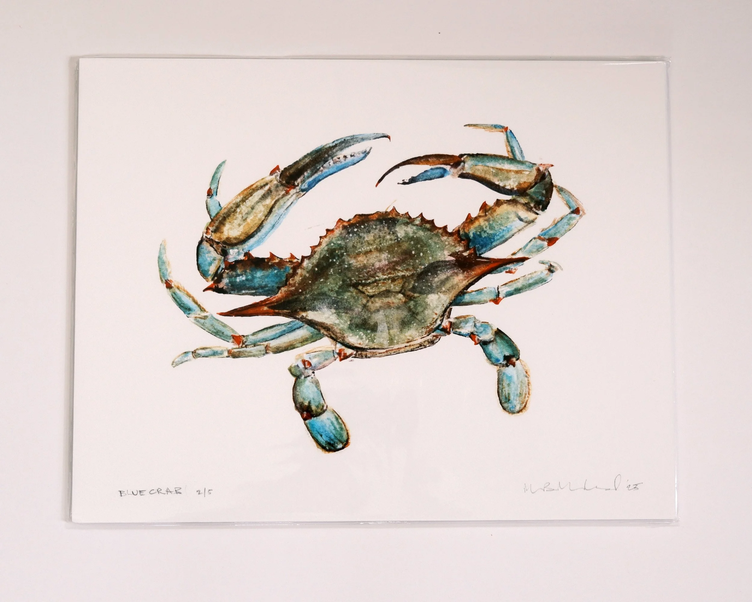 Chesapeake Blue Crab Watercolor | 14" x 18" Limited Edition Backed Giclée