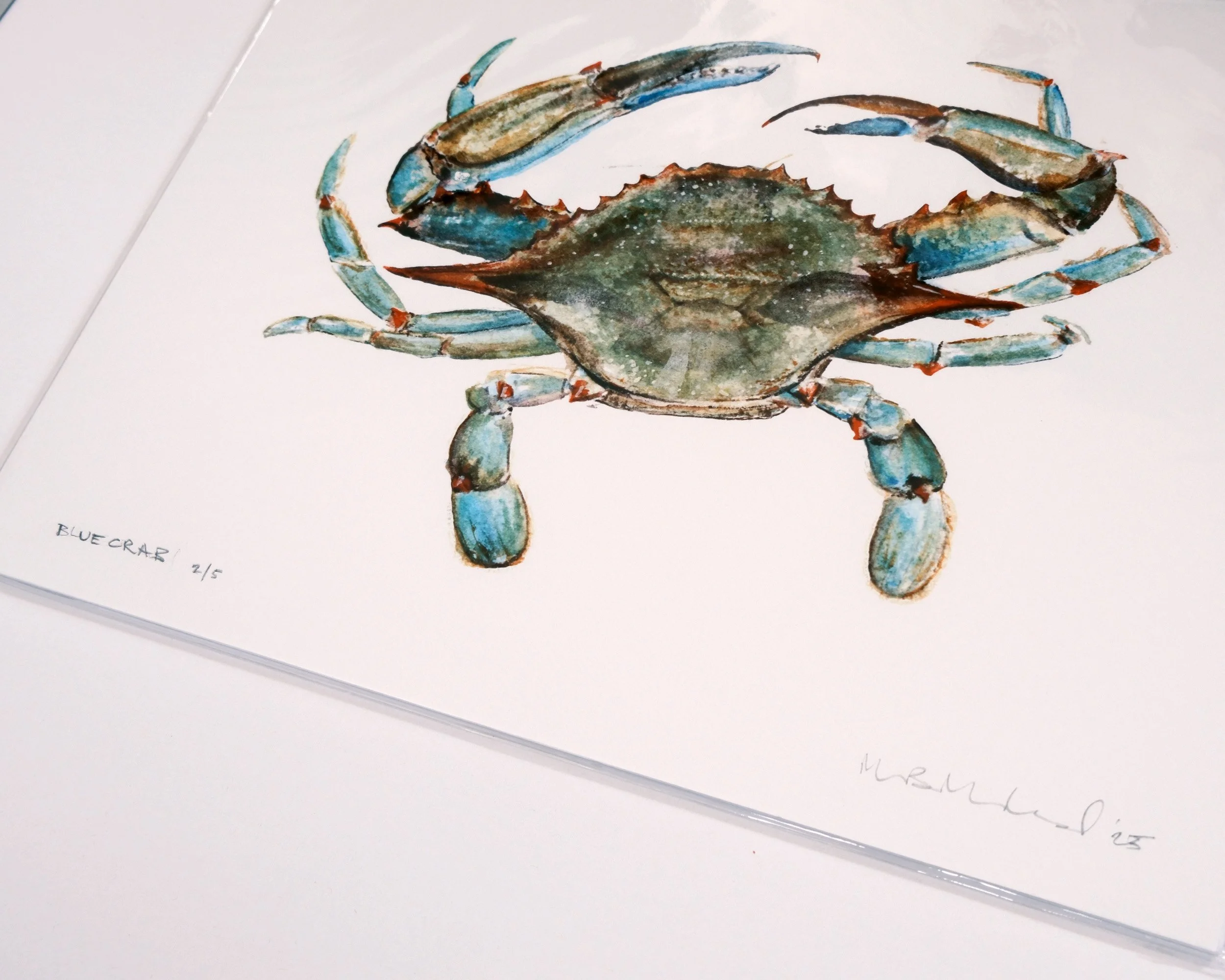 md-blue-crab-giclee-backed-print-detail-WEB.jpg