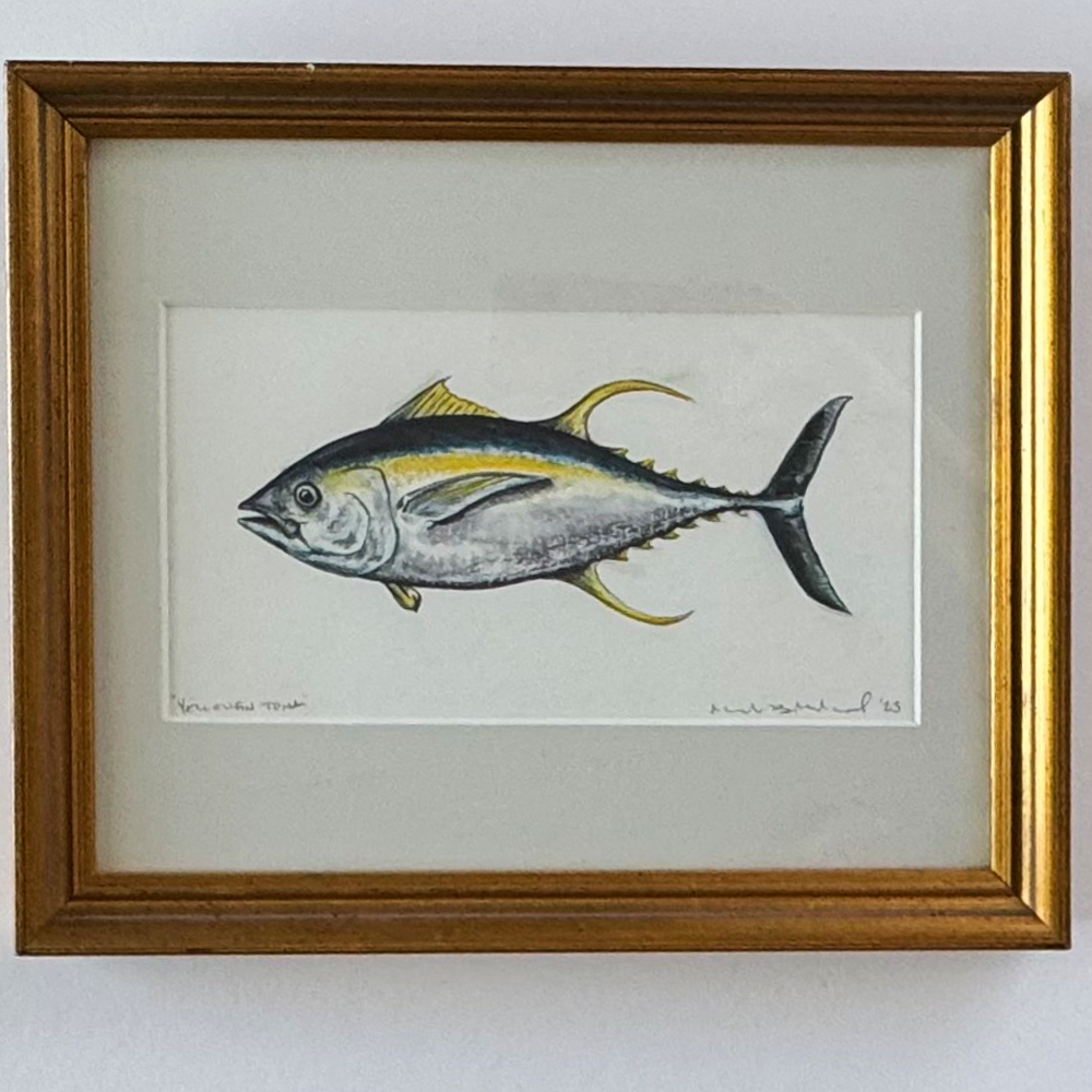 Yellowfin Tuna, Watercolor Study I – Original Watercolor