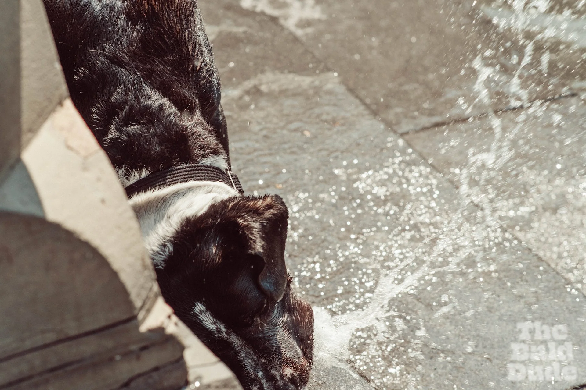 VSCO-NYC-PHOTO-WALK #31.jpg