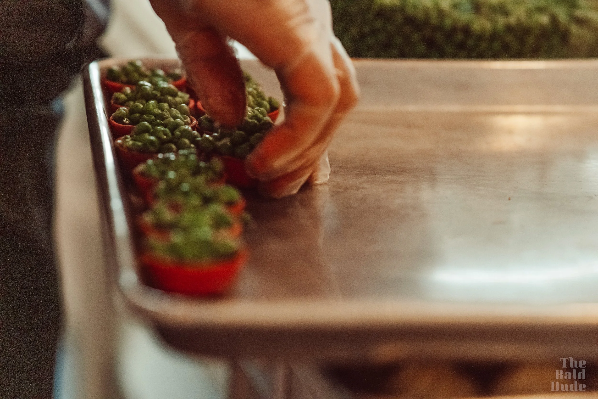 CCP - SPACE ECONOMY EVENT - FOOD & STAFF #4.jpg