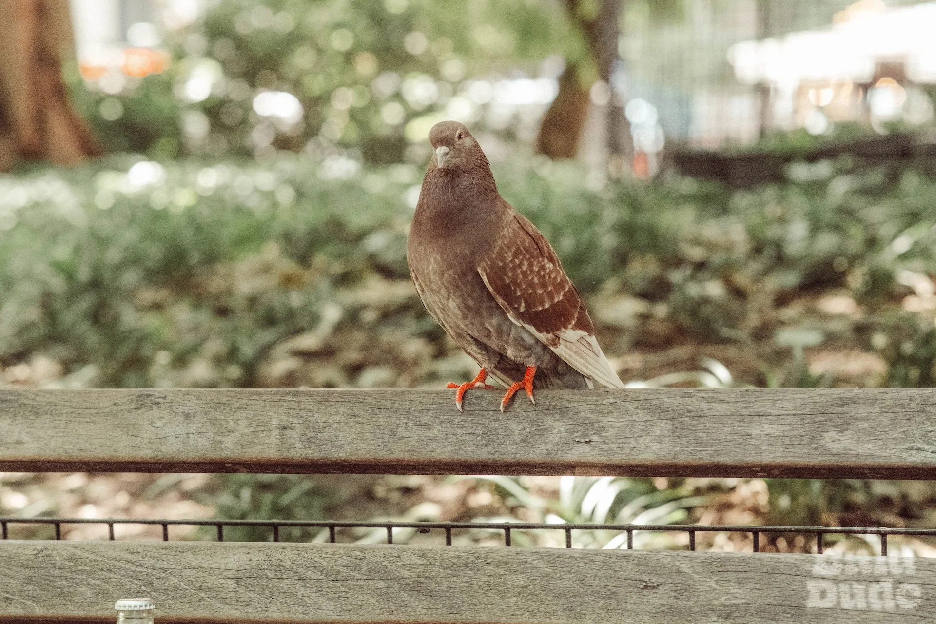 VSCO-NYC-PHOTO-WALK #52.jpg
