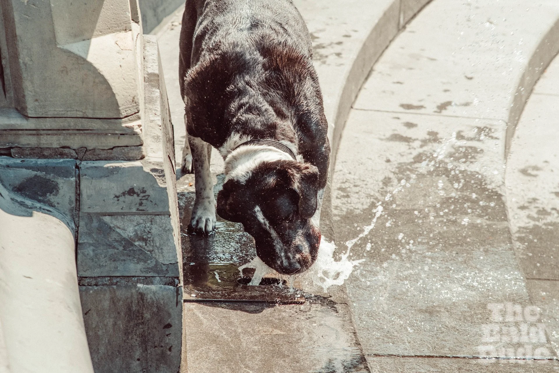 VSCO-NYC-PHOTO-WALK #32.jpg