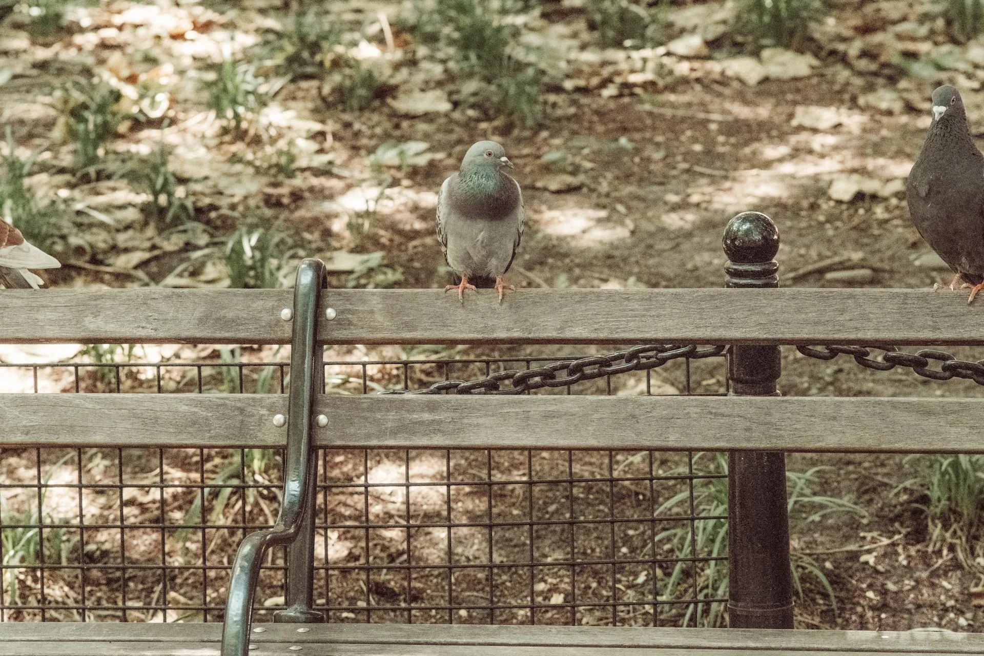 VSCO-NYC-PHOTO-WALK #51.jpg