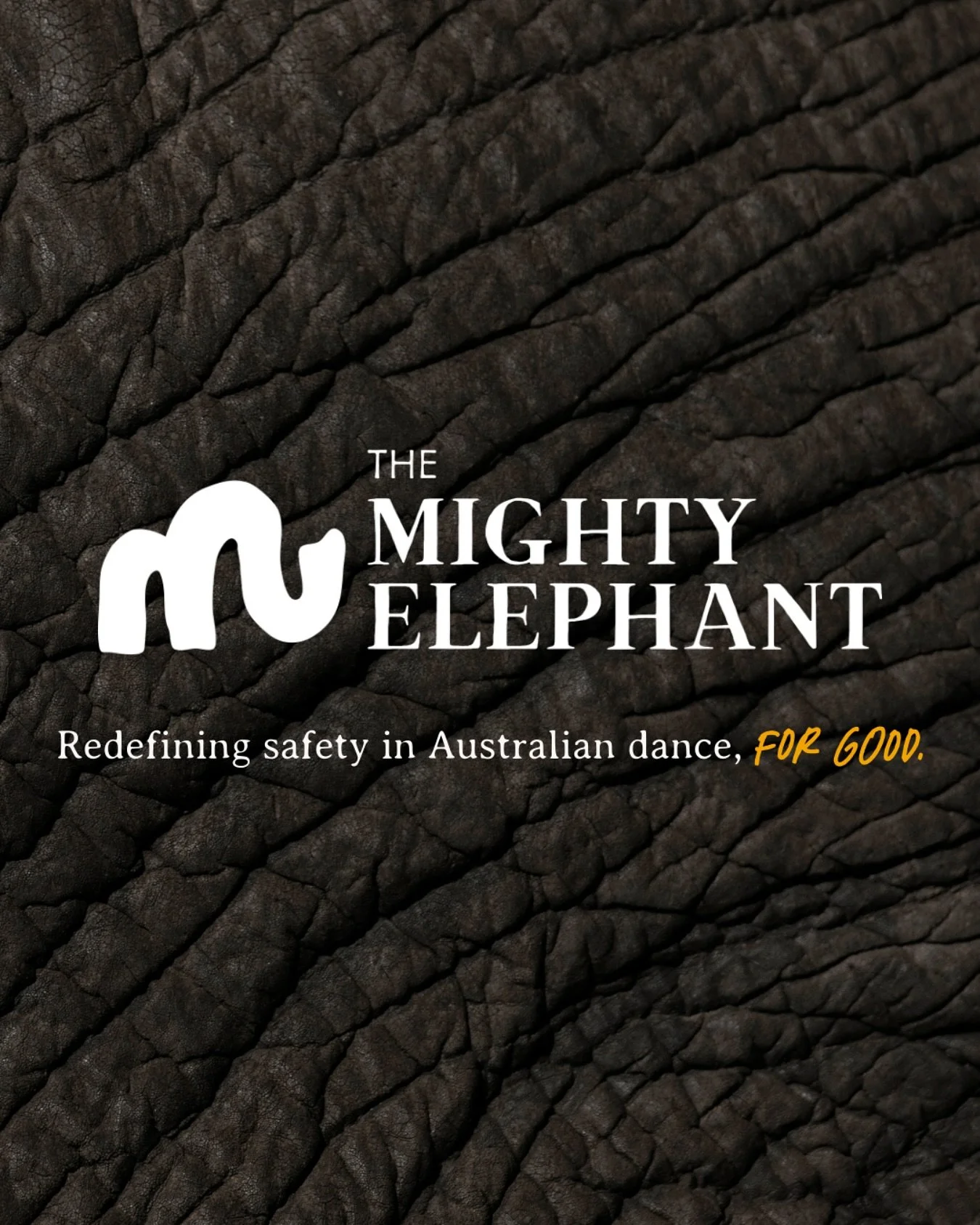 To truly address the elephant in the room, we must admit that as a whole, the Australian dance industry has not done enough to protect and advocate for its young dancers.

Until we face it, the cycle continues. Harm, abuse, and neglect remain hidden 