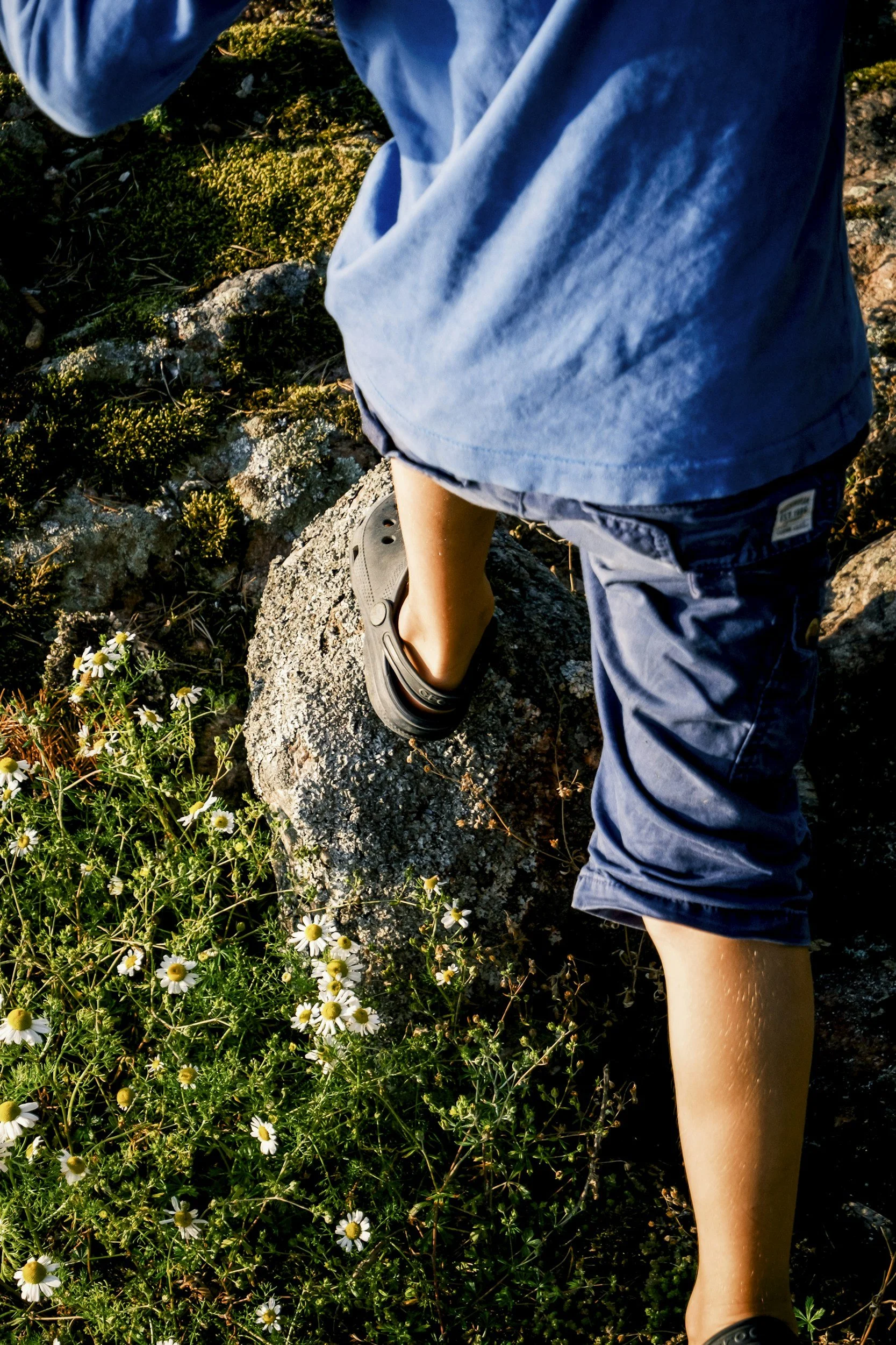 Child wearing a blue t-shirt, denim shorts, and sandals standing on rocks among wildflowers and grass during sunlight.