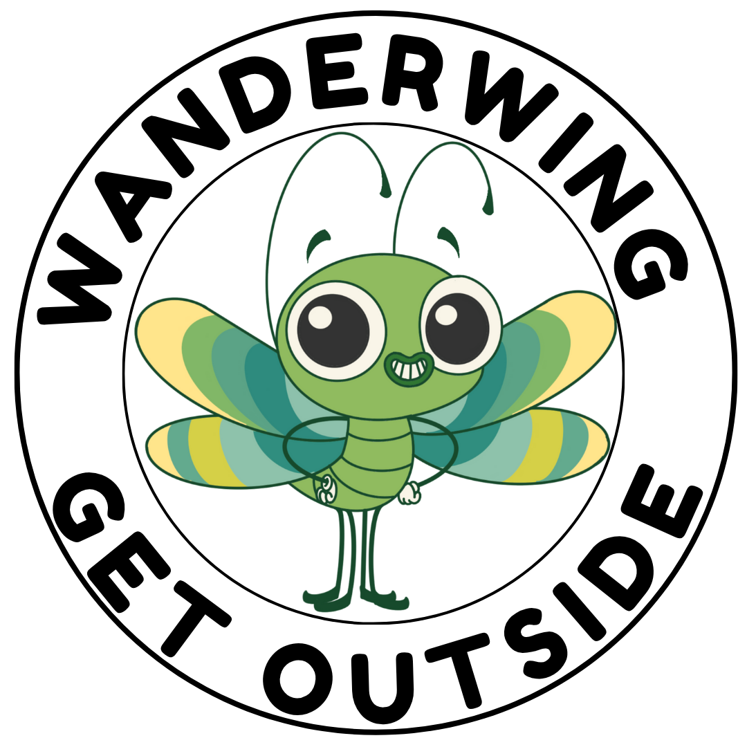 A cartoon character with a bee body, butterfly wings, and a chameleon head with large eyes and a wide smile.