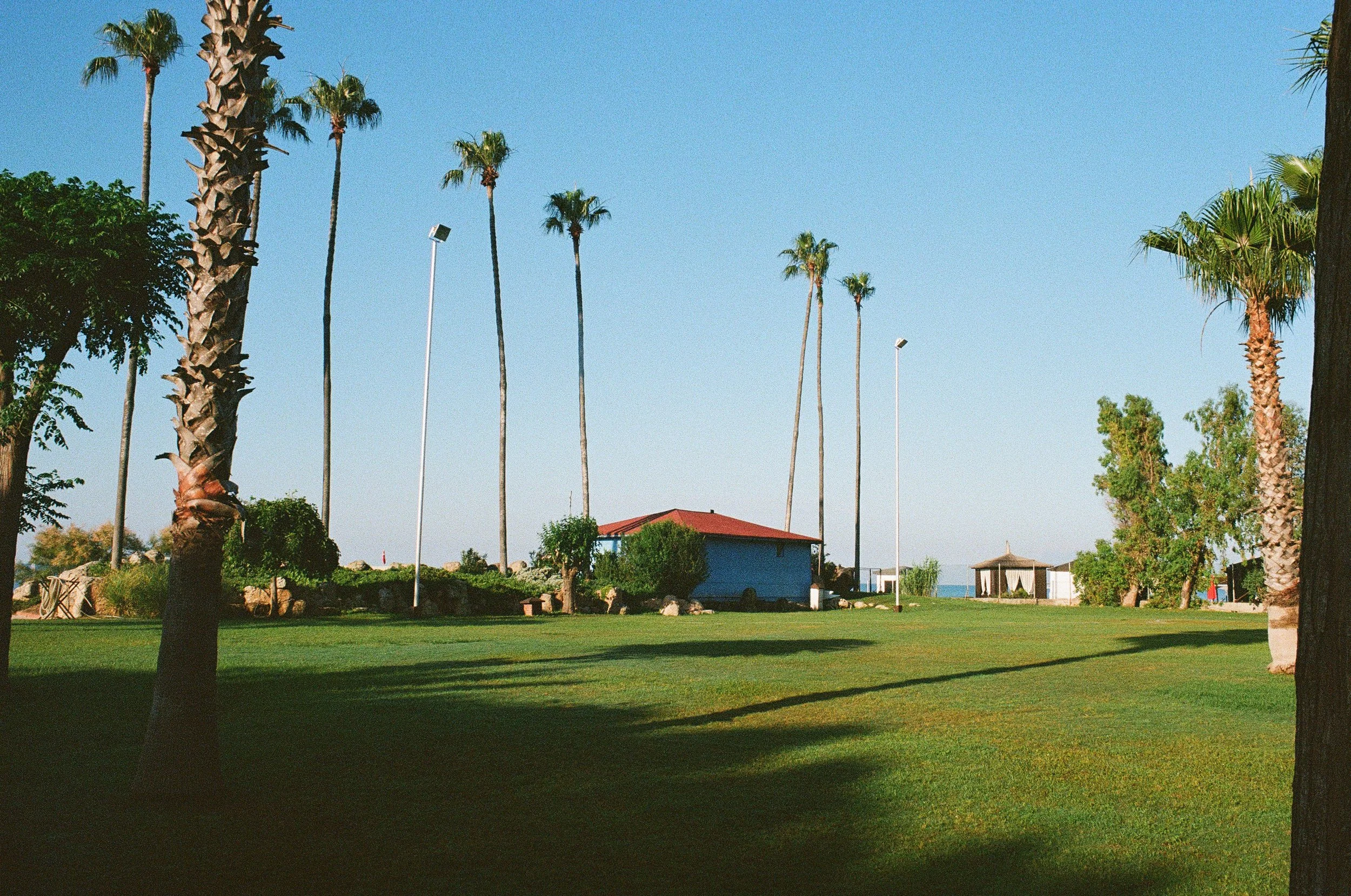 dcn-fuji-3.jpg