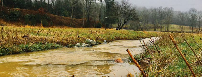 Streambank Restoration