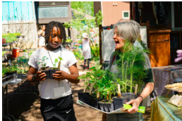 Cold Season Plant Sale