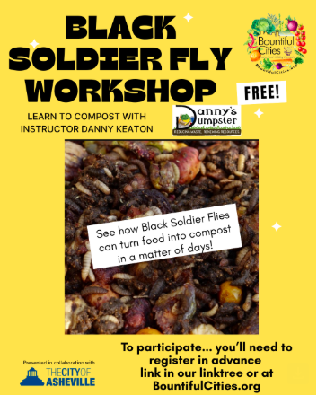 Black Soldier Fly Workshop