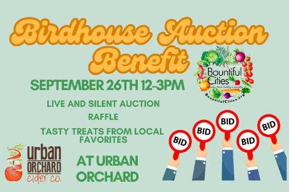 Birdhouse Auction Benefit