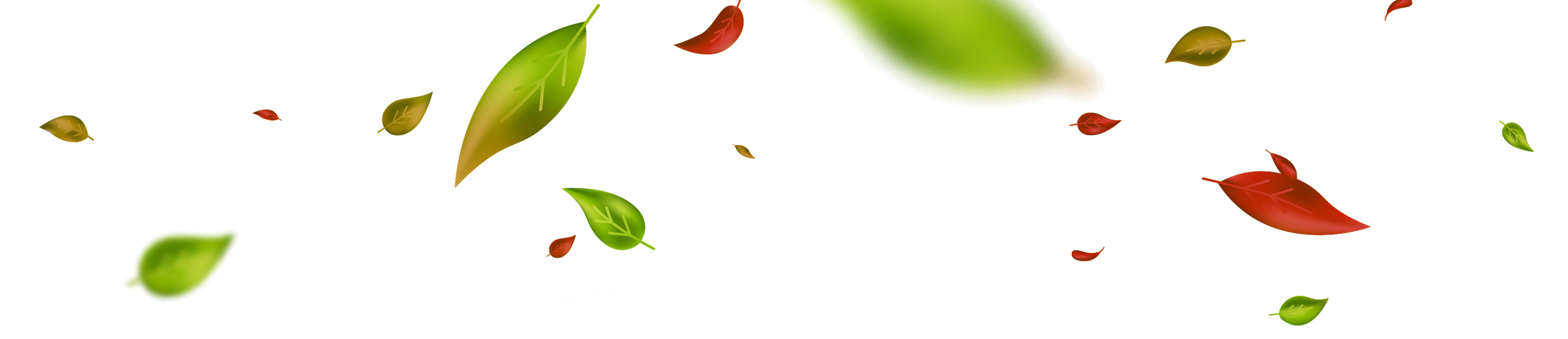 Colorful digital illustration of falling leaves in red, orange, green, and yellow, with some showing visible veins against a transparent background.