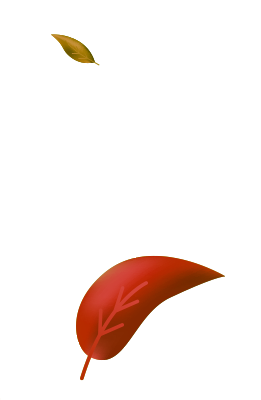 A red leaf with veins on a black background.