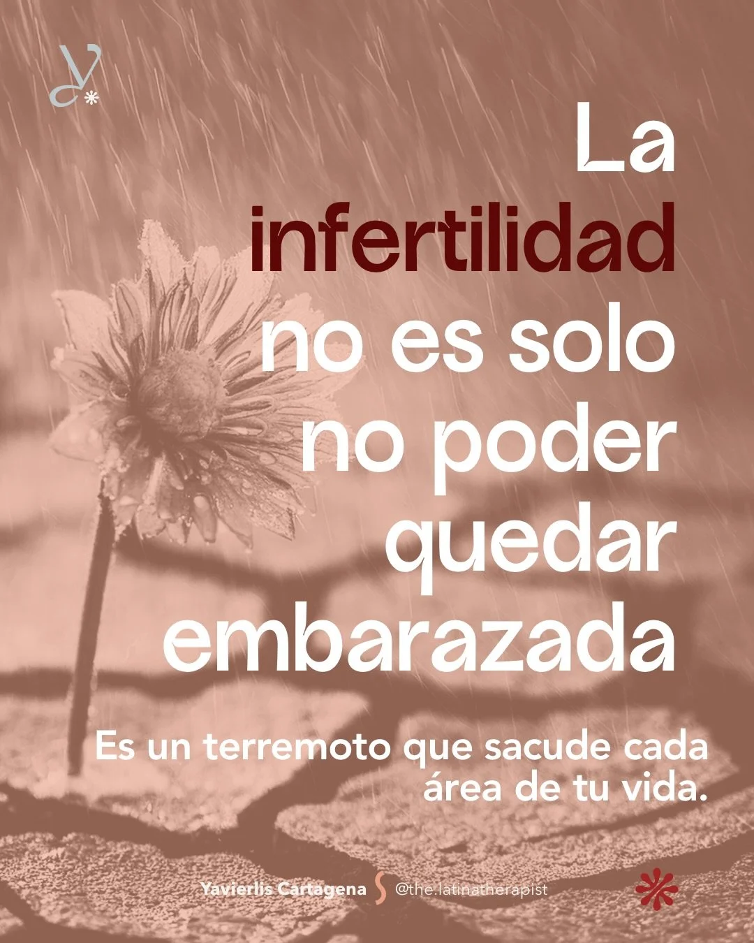 Esta semana es la Semana Nacional de Concientizaci&oacute;n sobre la Infertilidad (NIAW2026) y el tema de este a&ntilde;o es #MoreThan, m&aacute;s que.

M&aacute;s que un diagn&oacute;stico, m&aacute;s que una estad&iacute;stica, m&aacute;s que una s