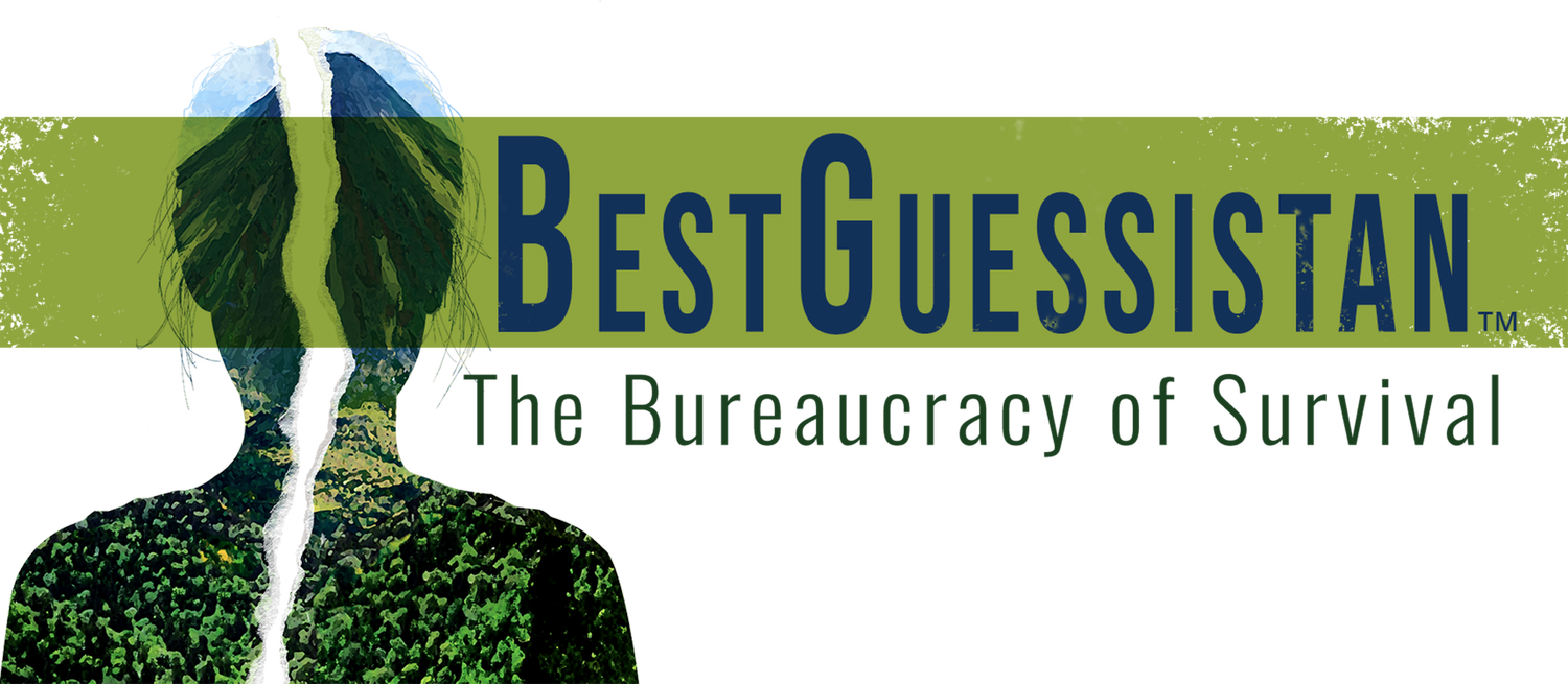 BestGuessistan: The Bureaucracy of Survival