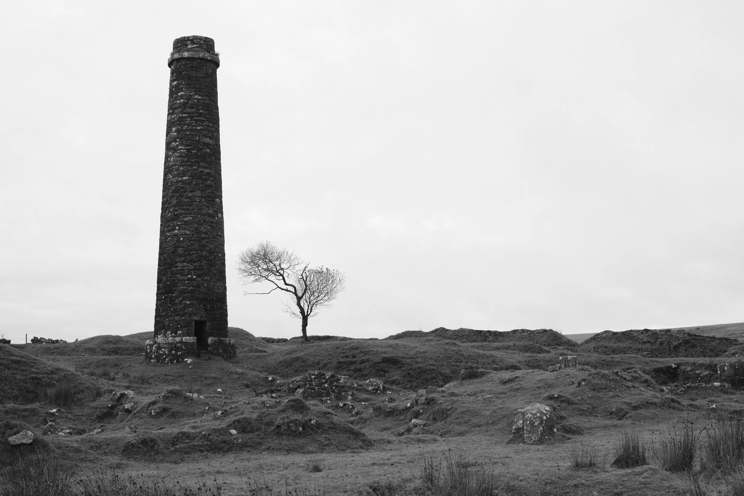 A tall, narrow stone tower stands on a barren landscape with a solitary leafless tree nearby. The sky is overcast, creating a bleak, sombre atmosphere.