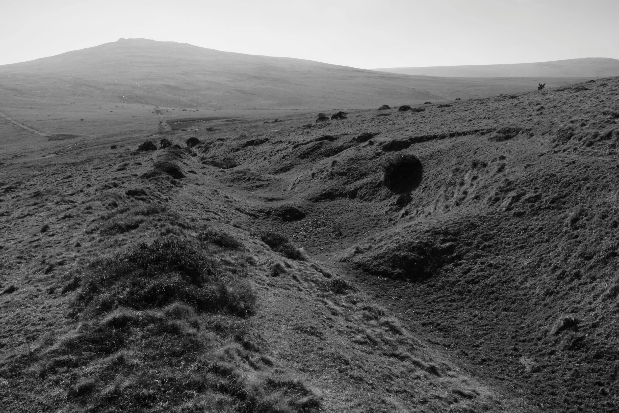 A black and white landscape shows rolling hills with scattered bushes, creating a serene and timeless atmosphere under a soft sky.