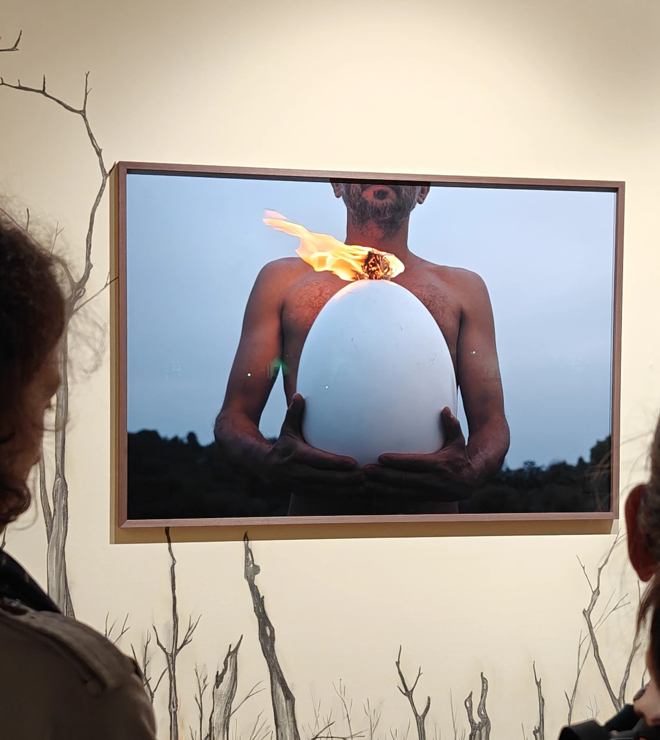 Rodrigo Braga’s Unusual Approach Presents His Relationship to Landscape and Animals