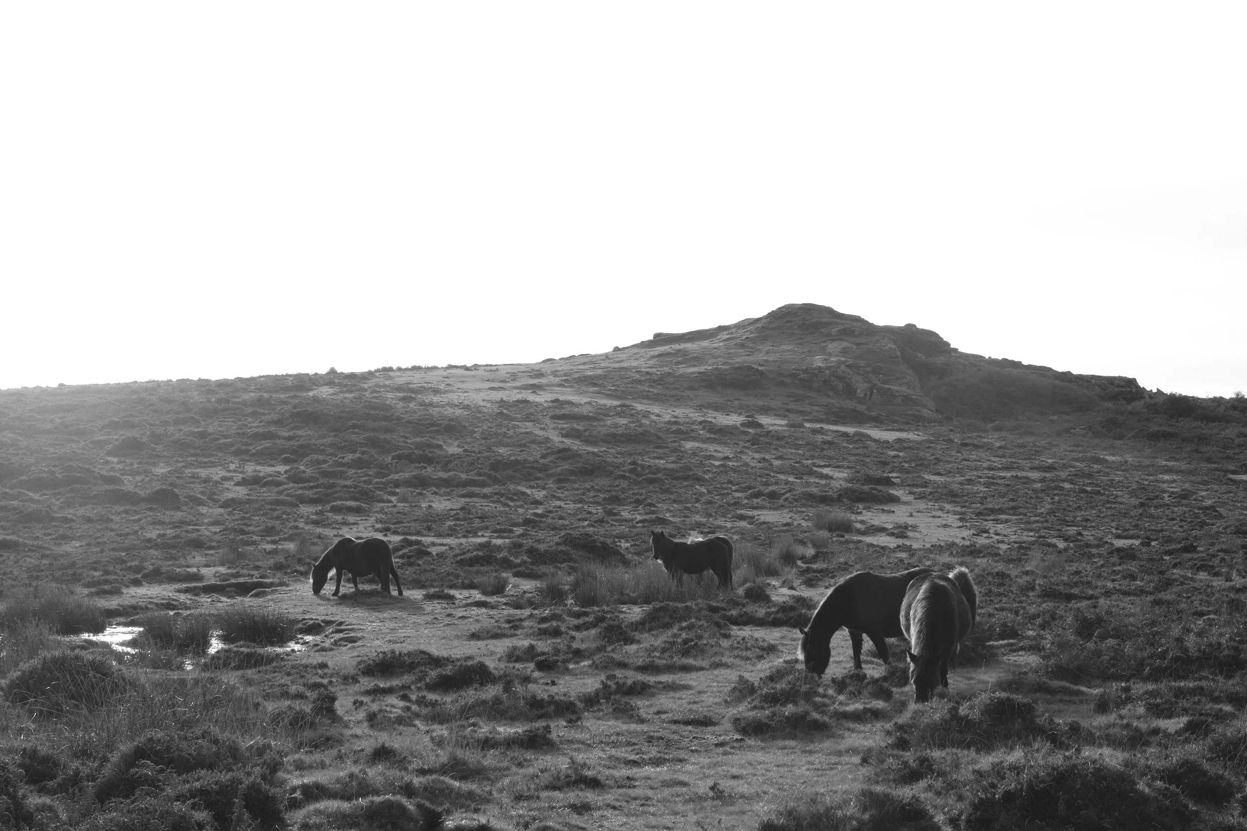 Haytor 19.jpg