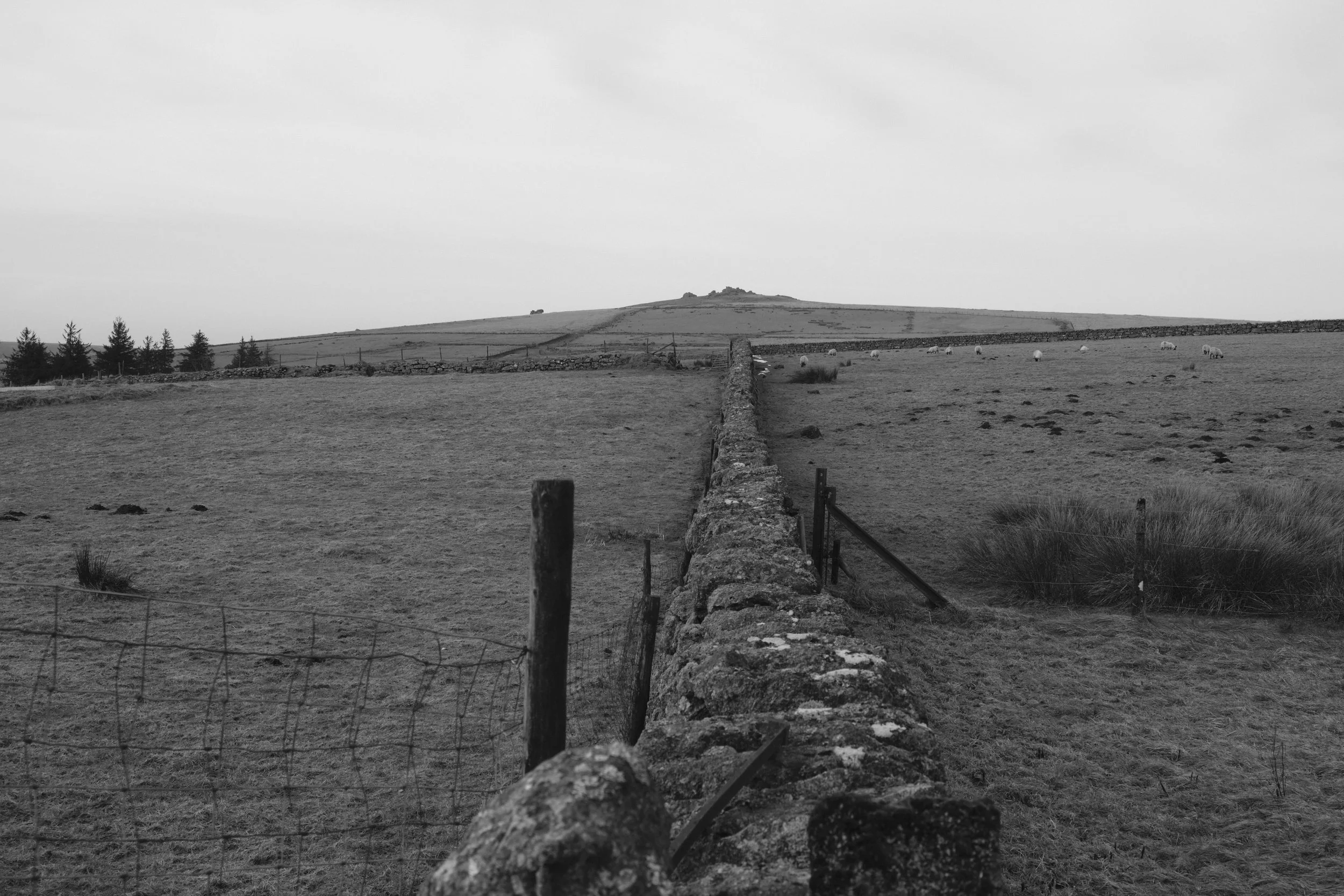 Dartmoor_17.jpg