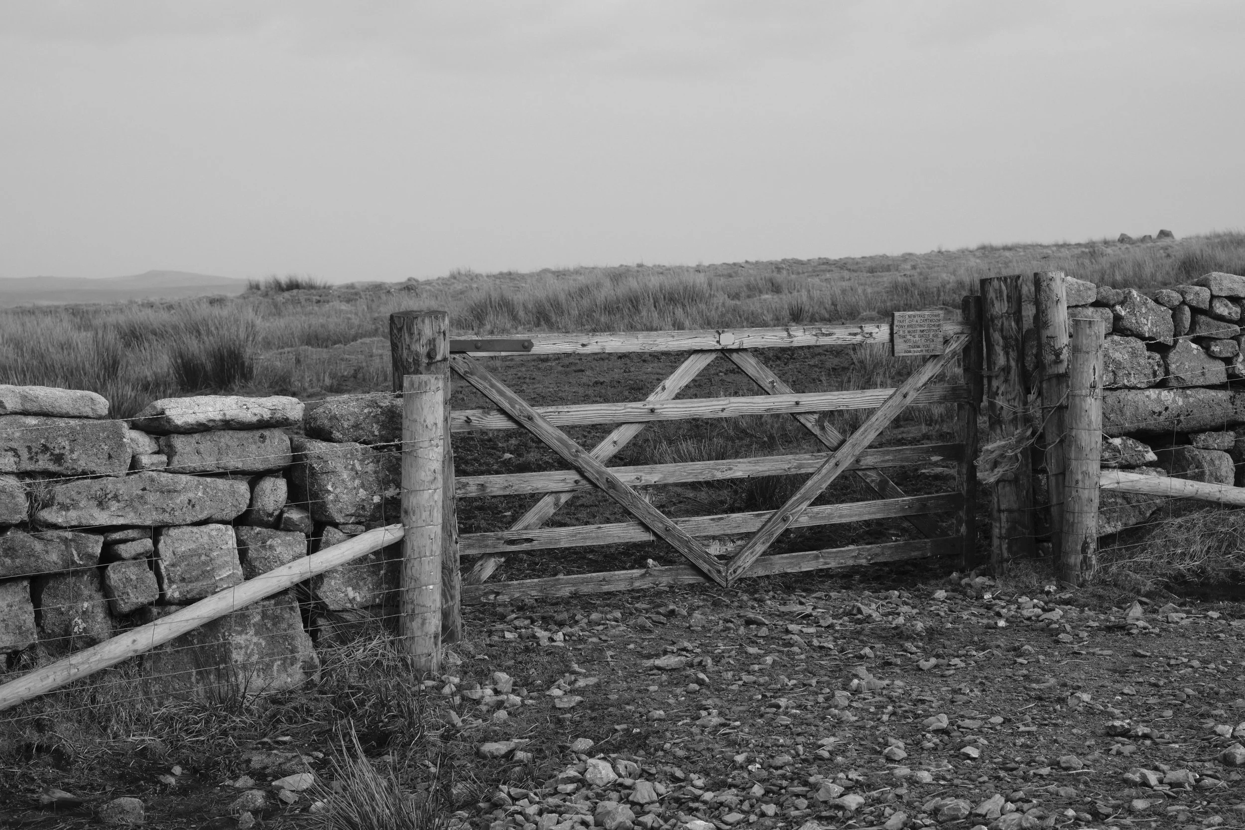 Dartmoor_48.jpg