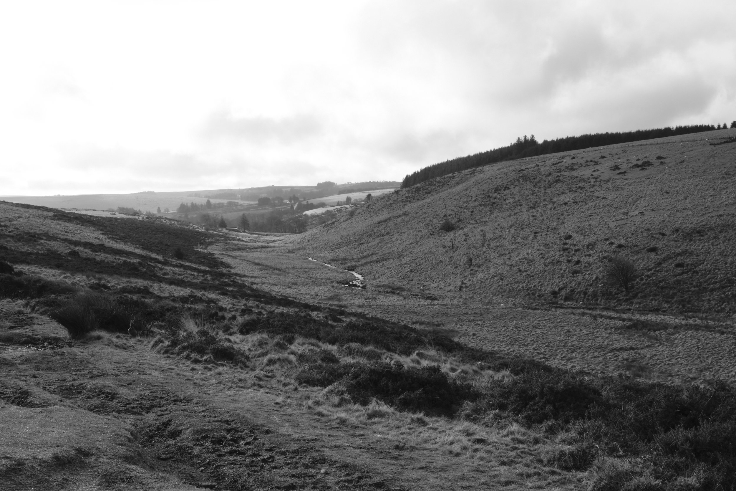 Wistman_s Wood_16.jpg