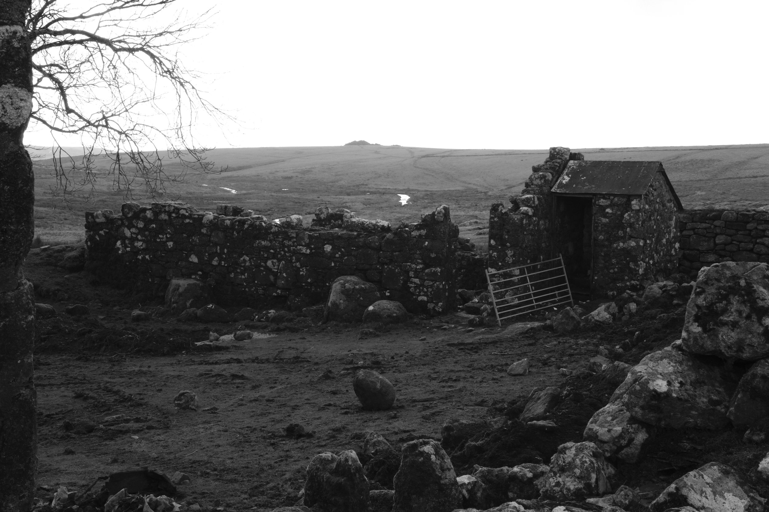 Ditsworthy House_26.jpg