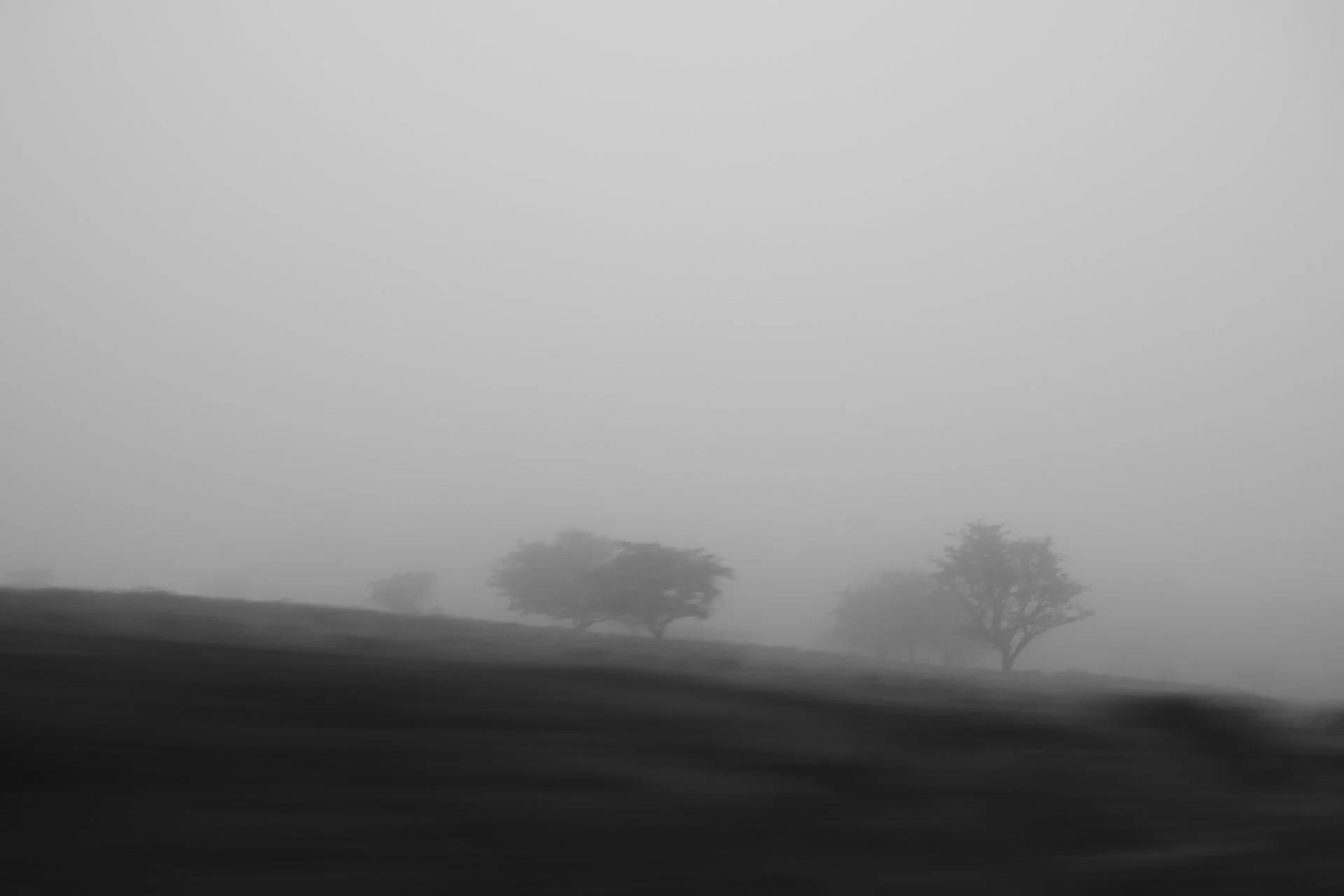 Princetown_142.jpg