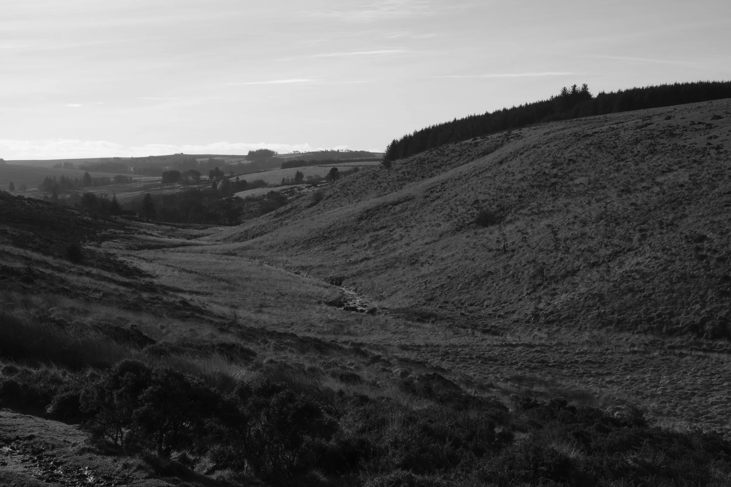 Wistman's Circular_7.jpg