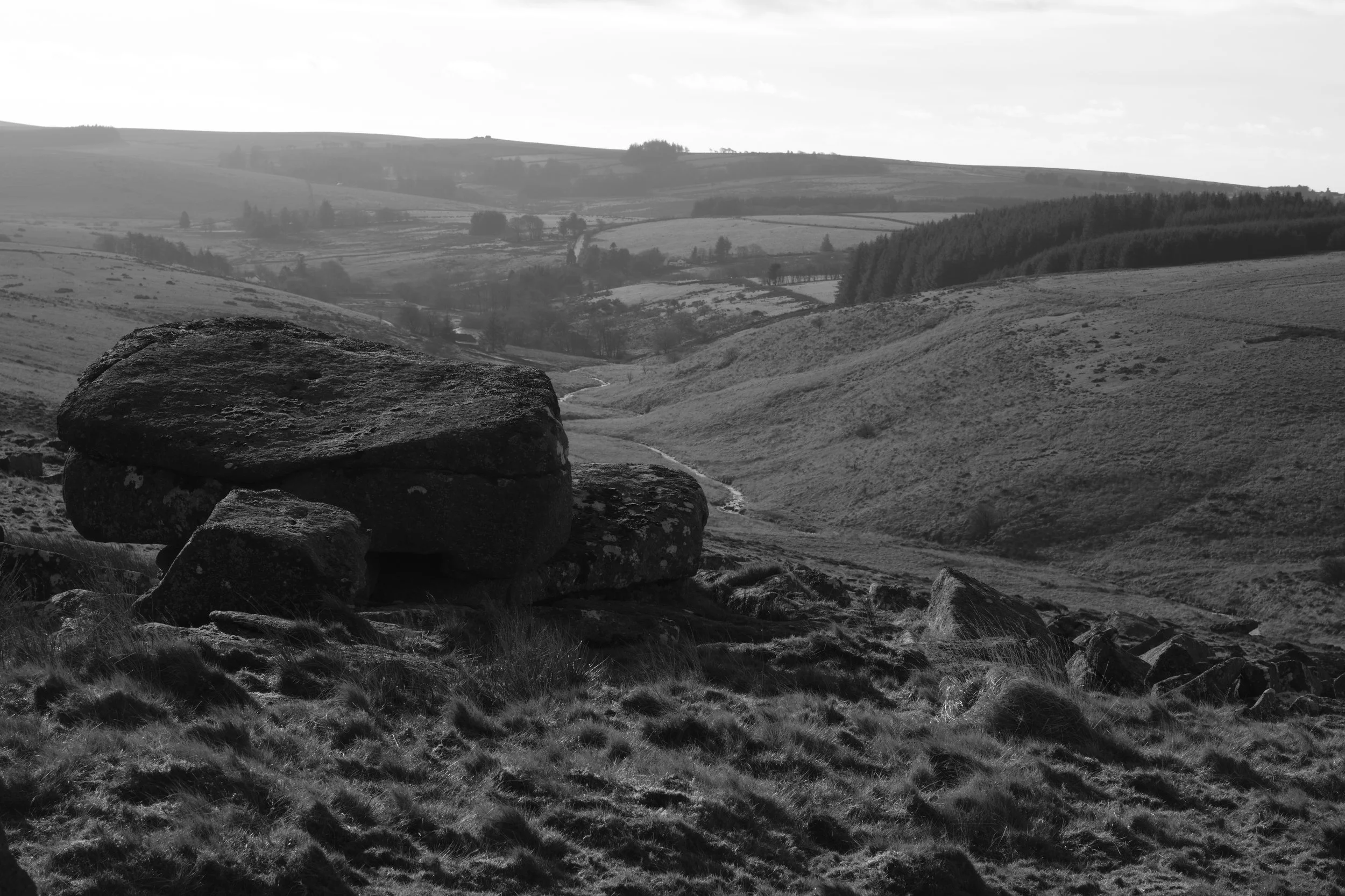 Wistman's Circular_21.jpg