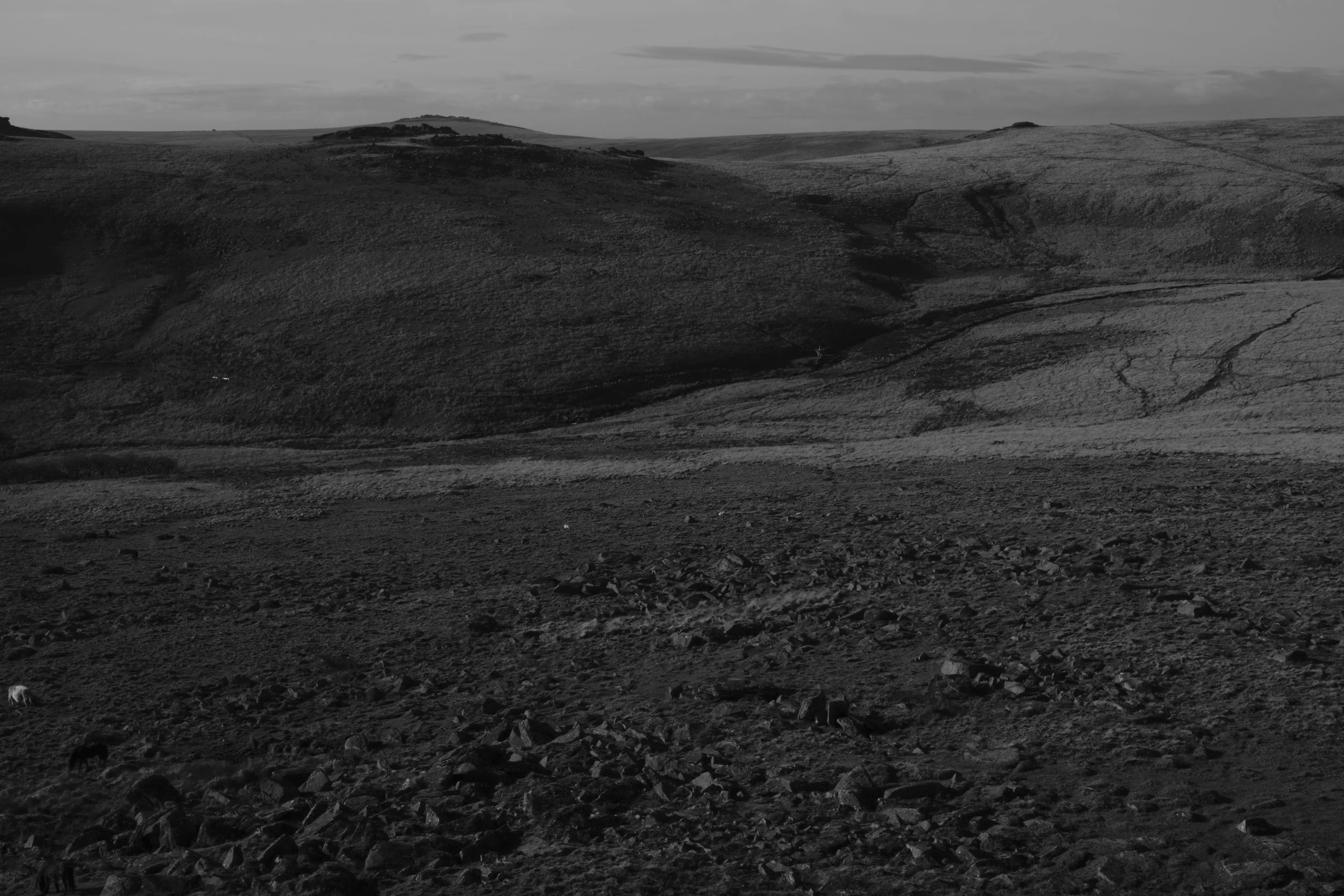 Wistman's Circular_45.jpg