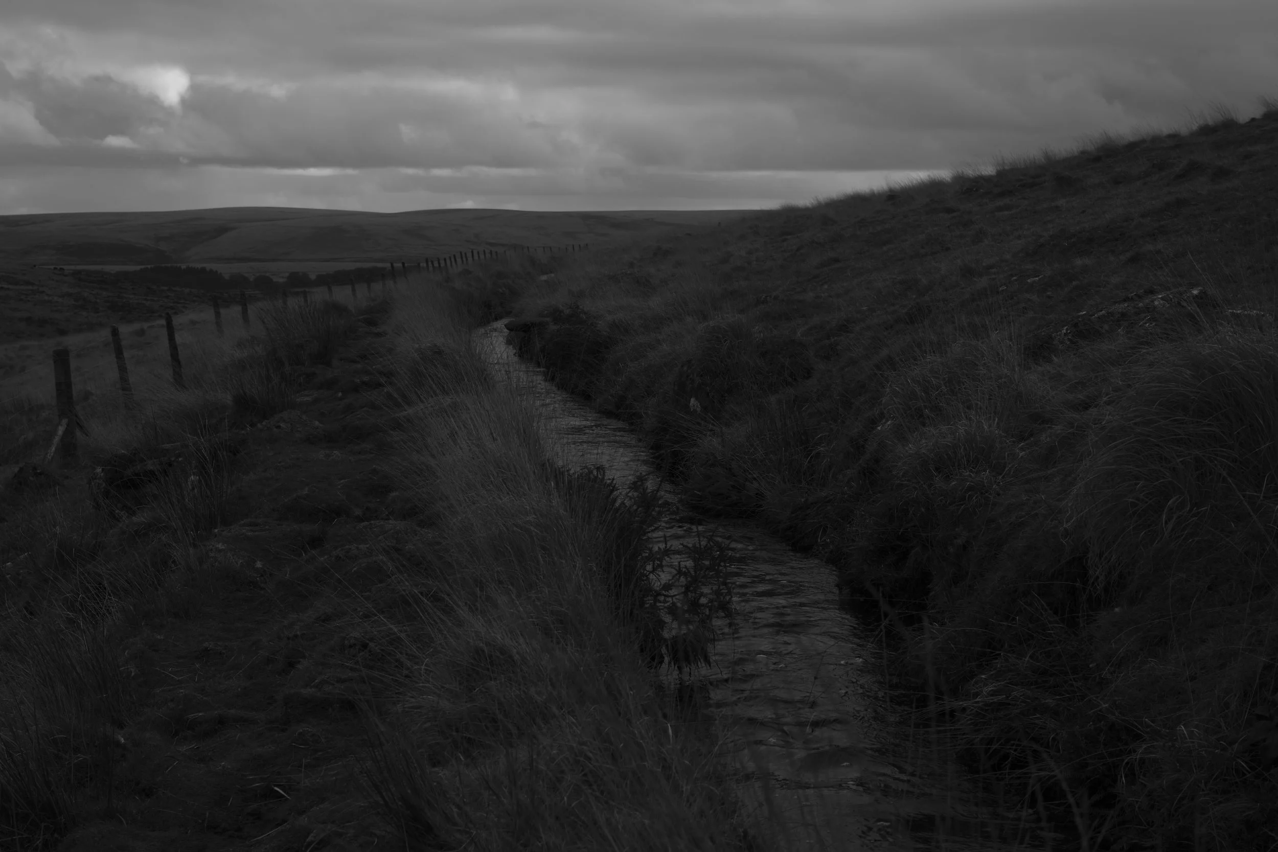 Wistman's Circular_83.jpg