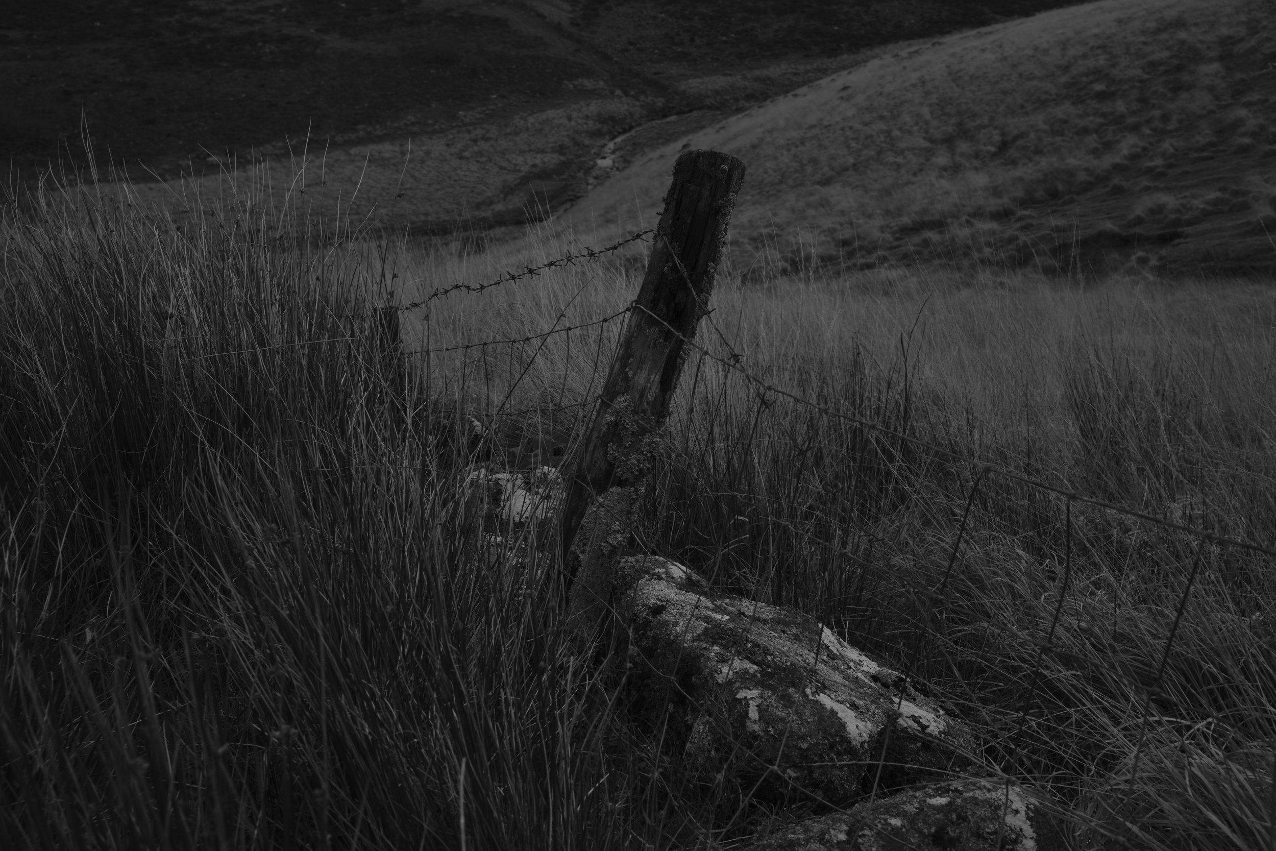 Wistman's Circular_79.jpg